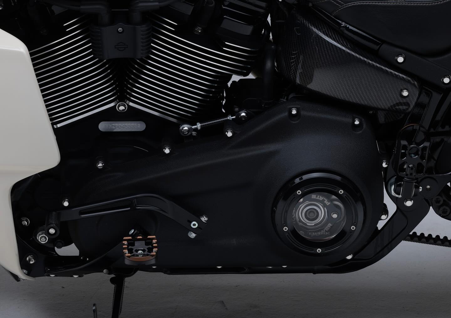 2023 ST CUSTOM BUILD