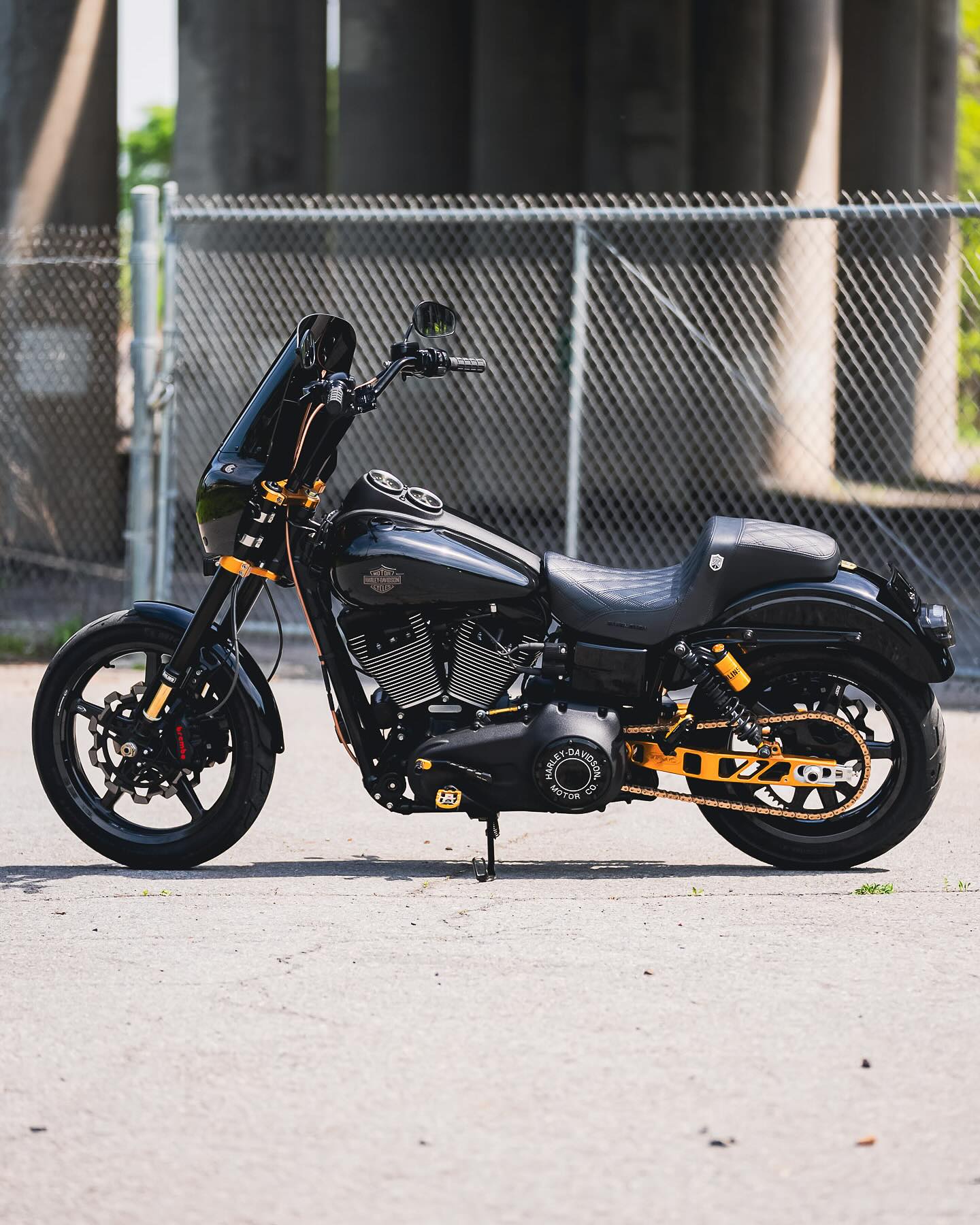 2017 FXDLS