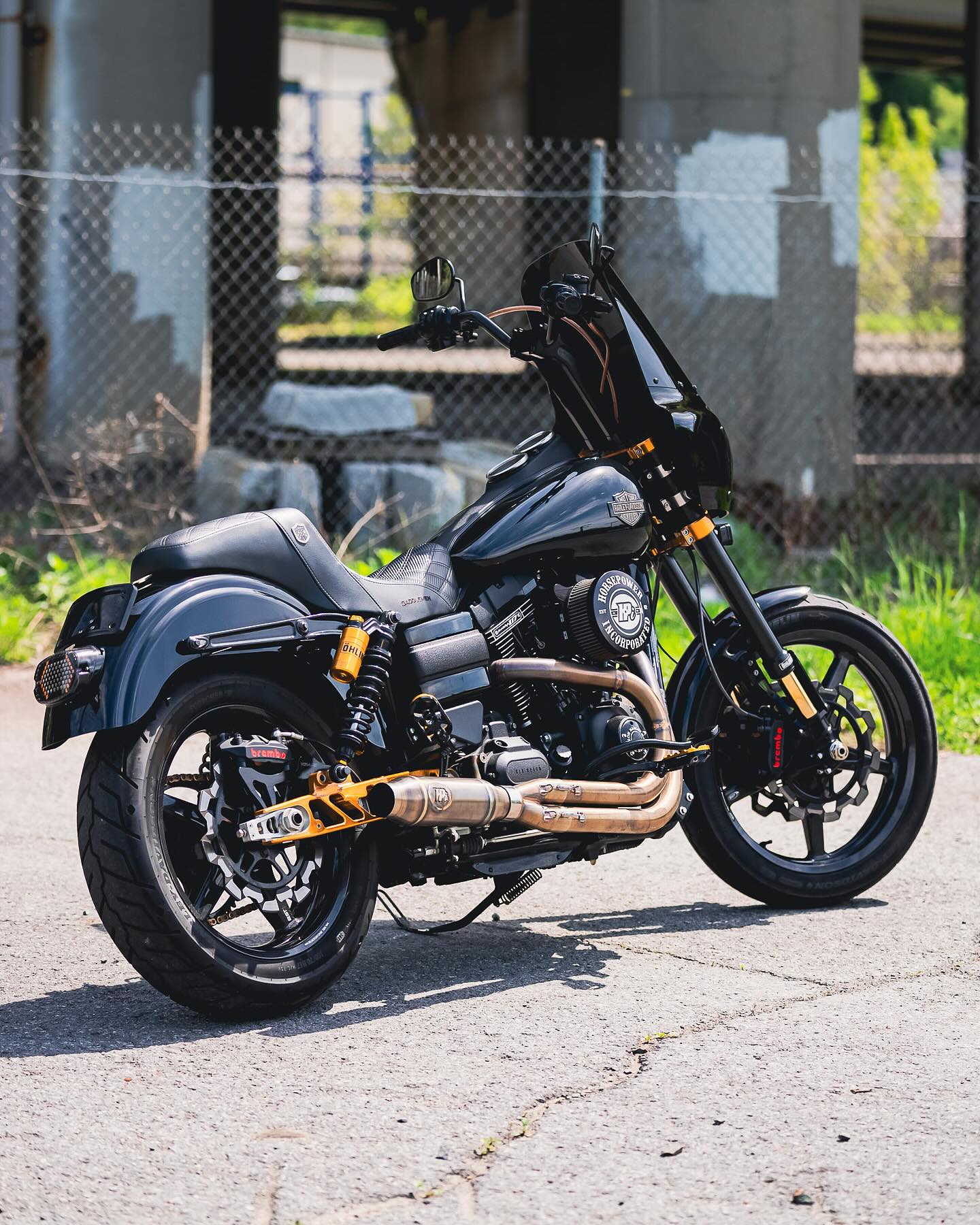 2017 FXDLS