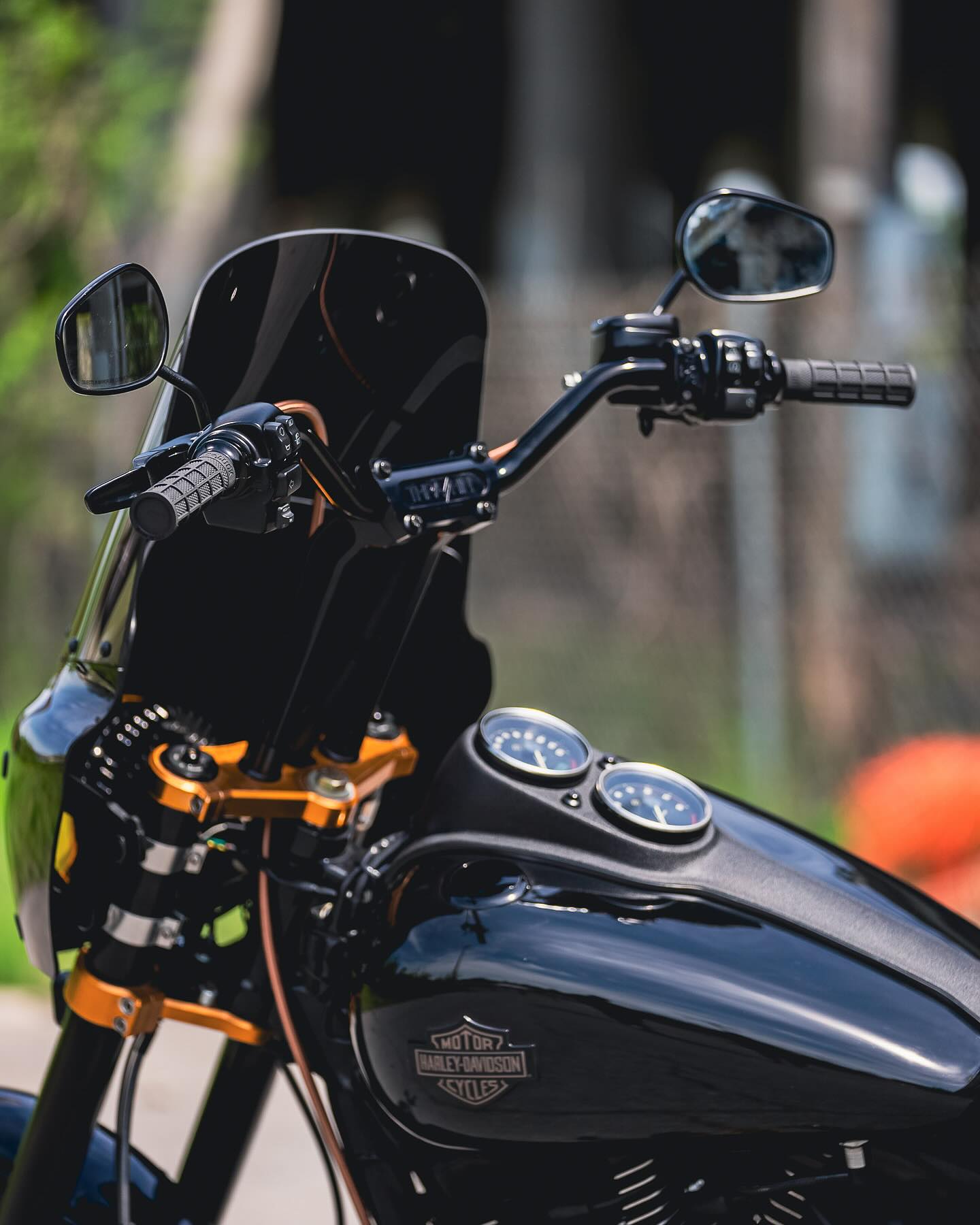 2017 FXDLS