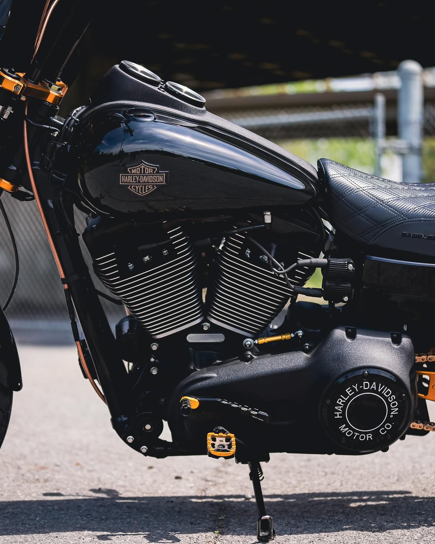 2017 FXDLS