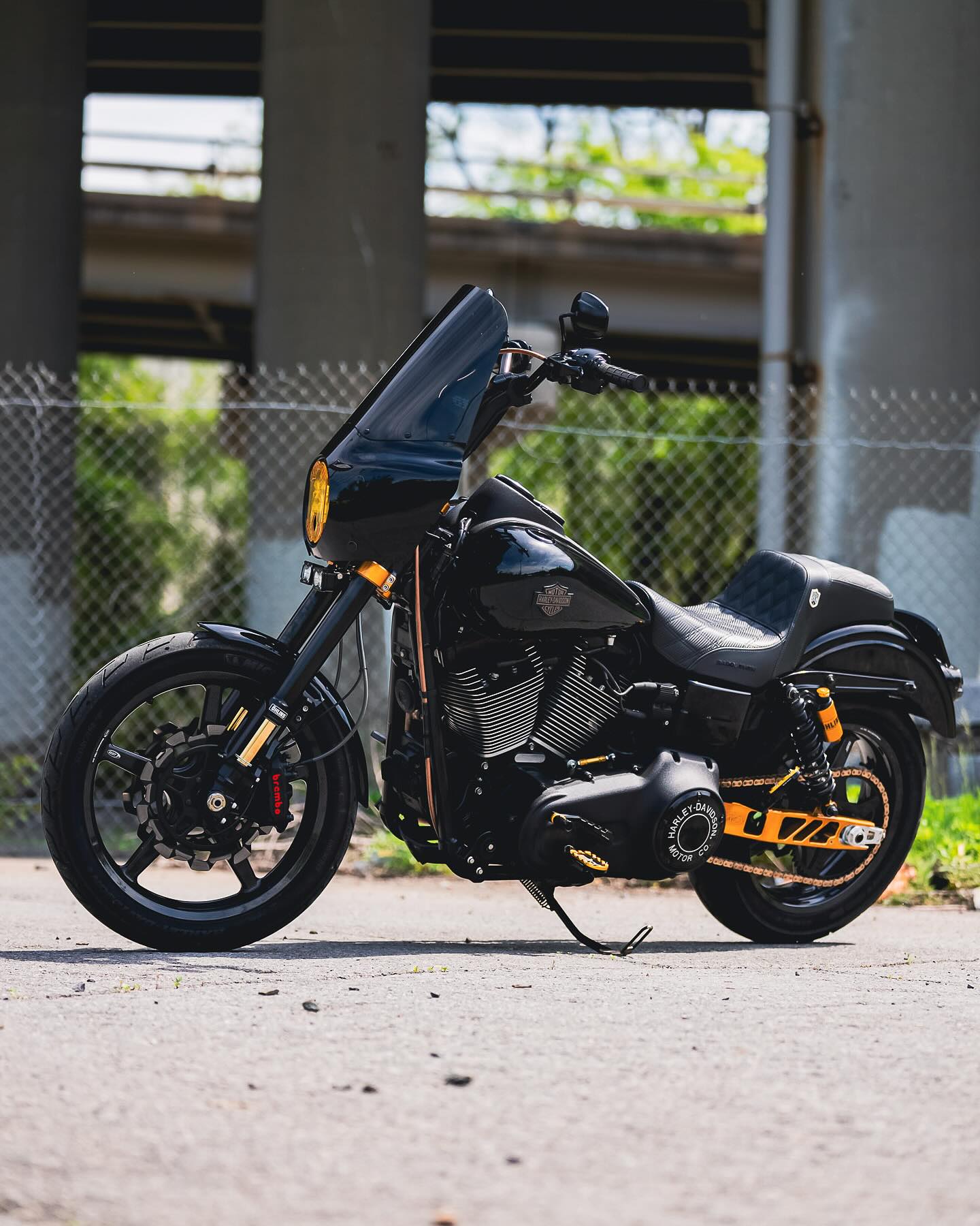 2017 FXDLS