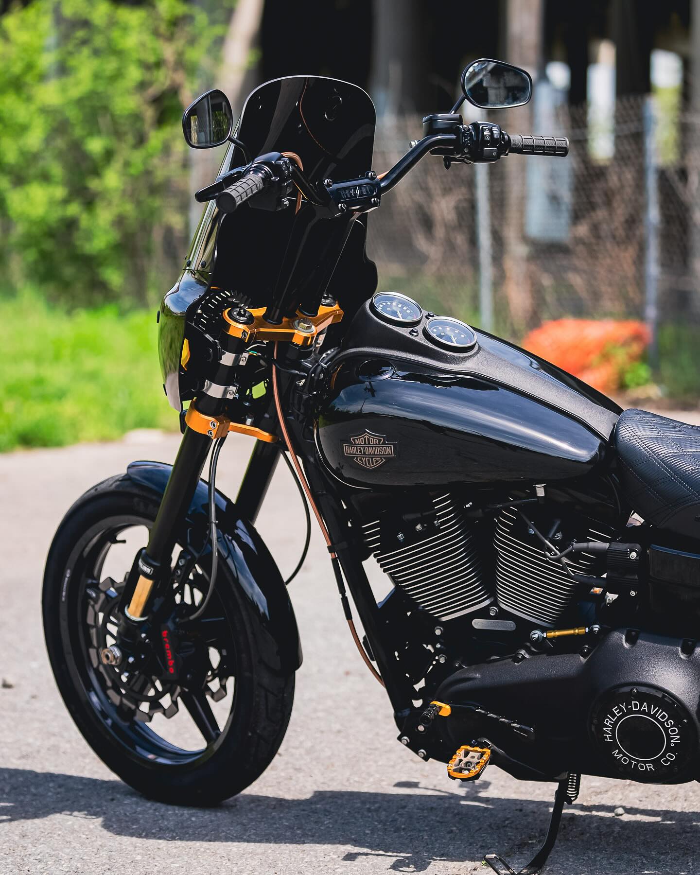 2017 FXDLS