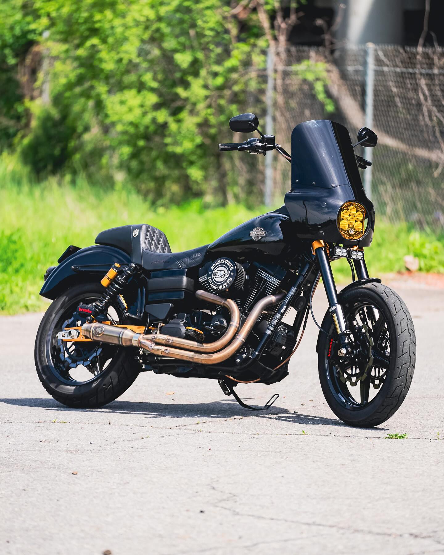 2017 FXDLS