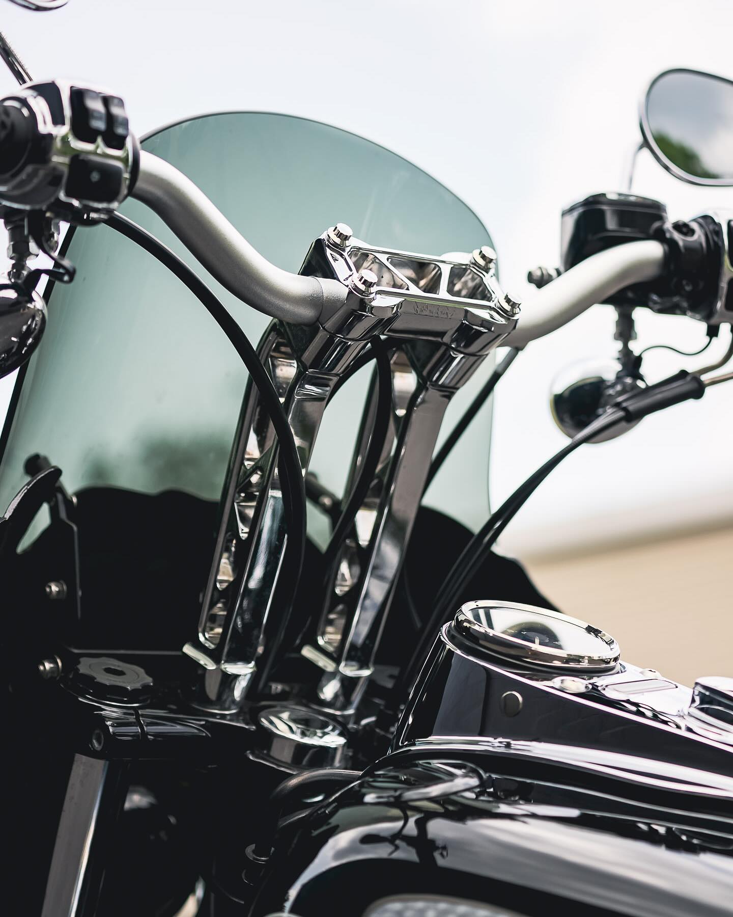 2015 FXDB