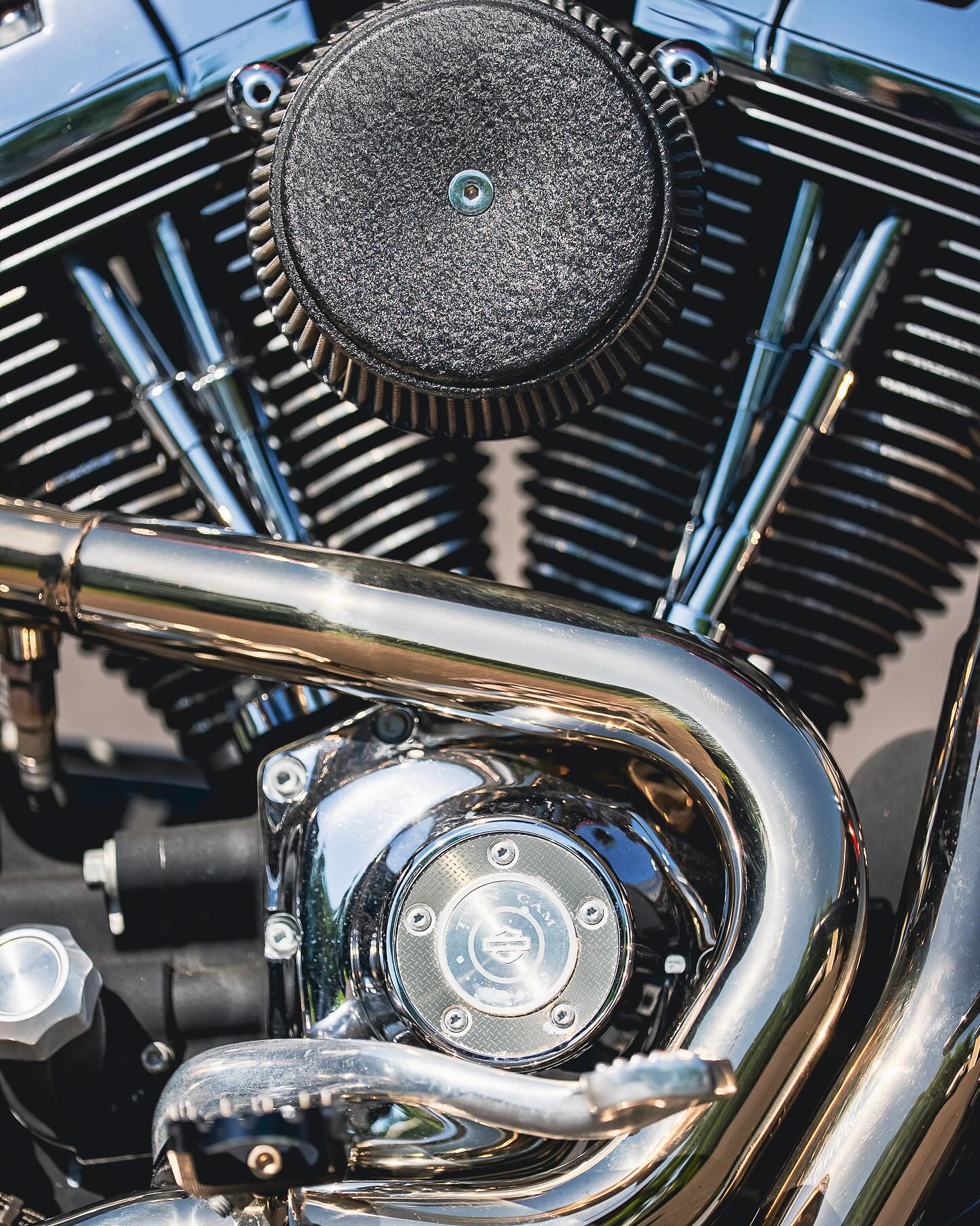 2009 FXDL