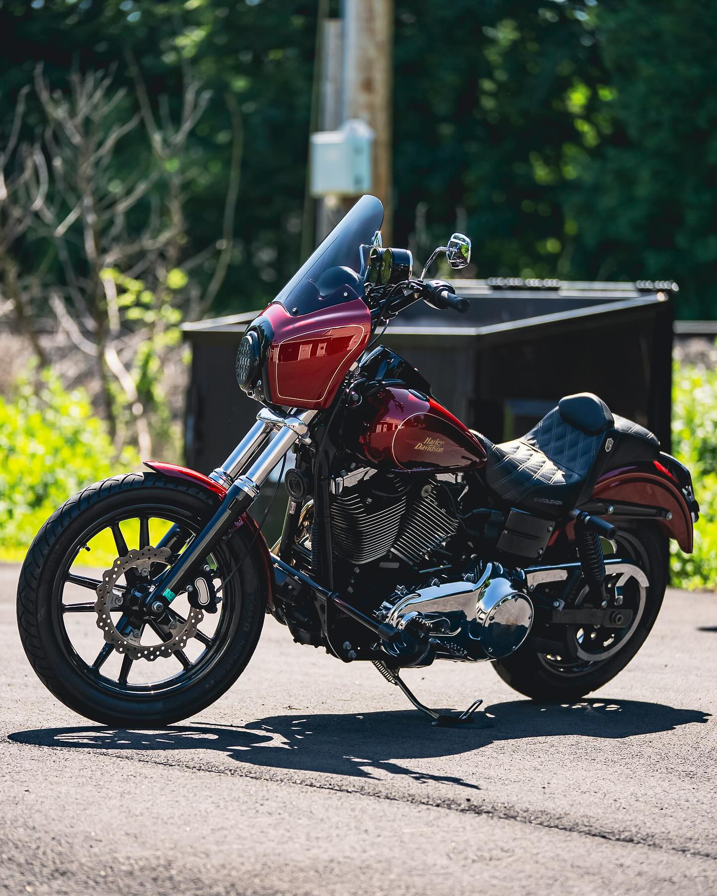 2009 FXDL