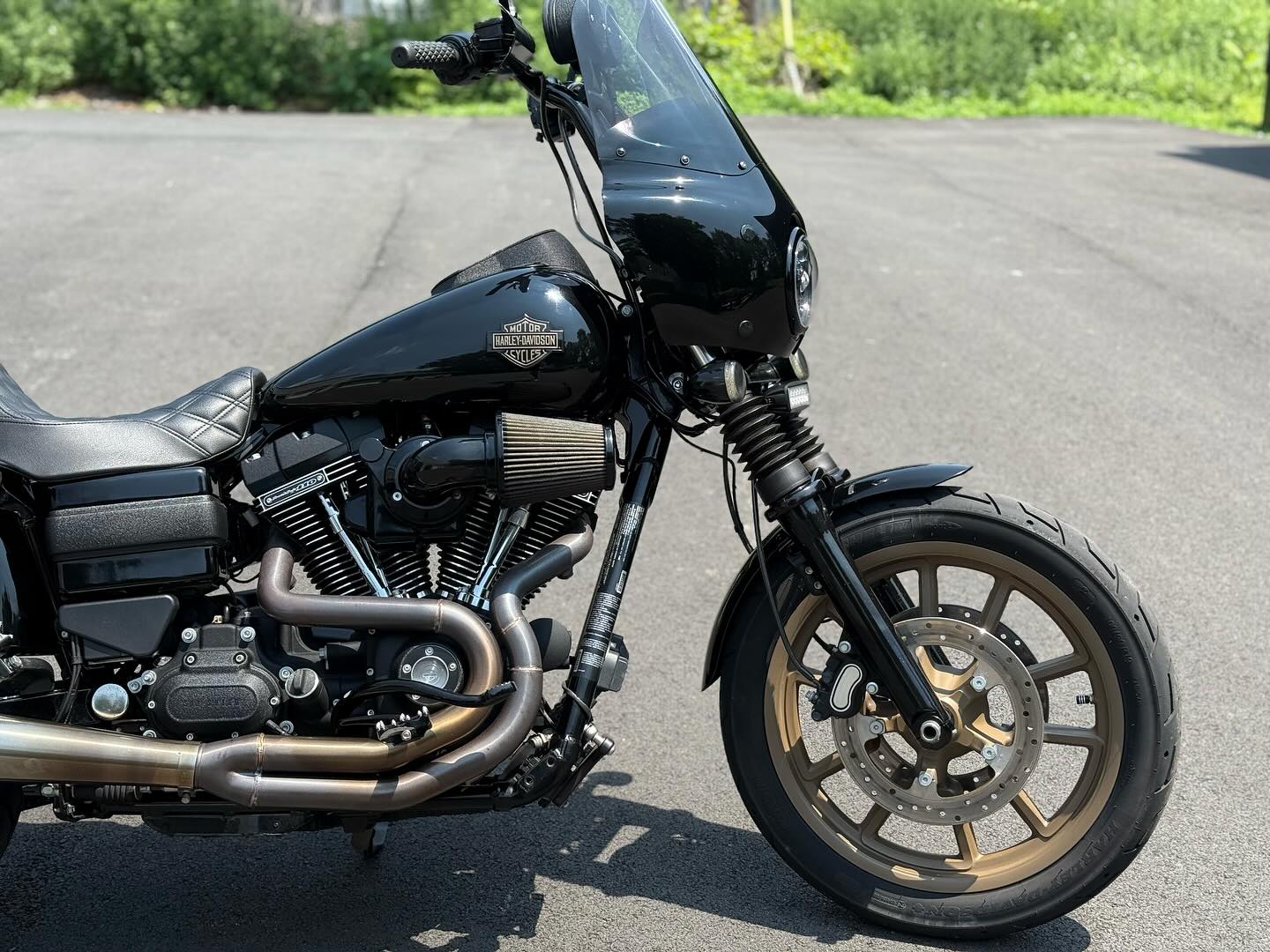 2017 FXDLS