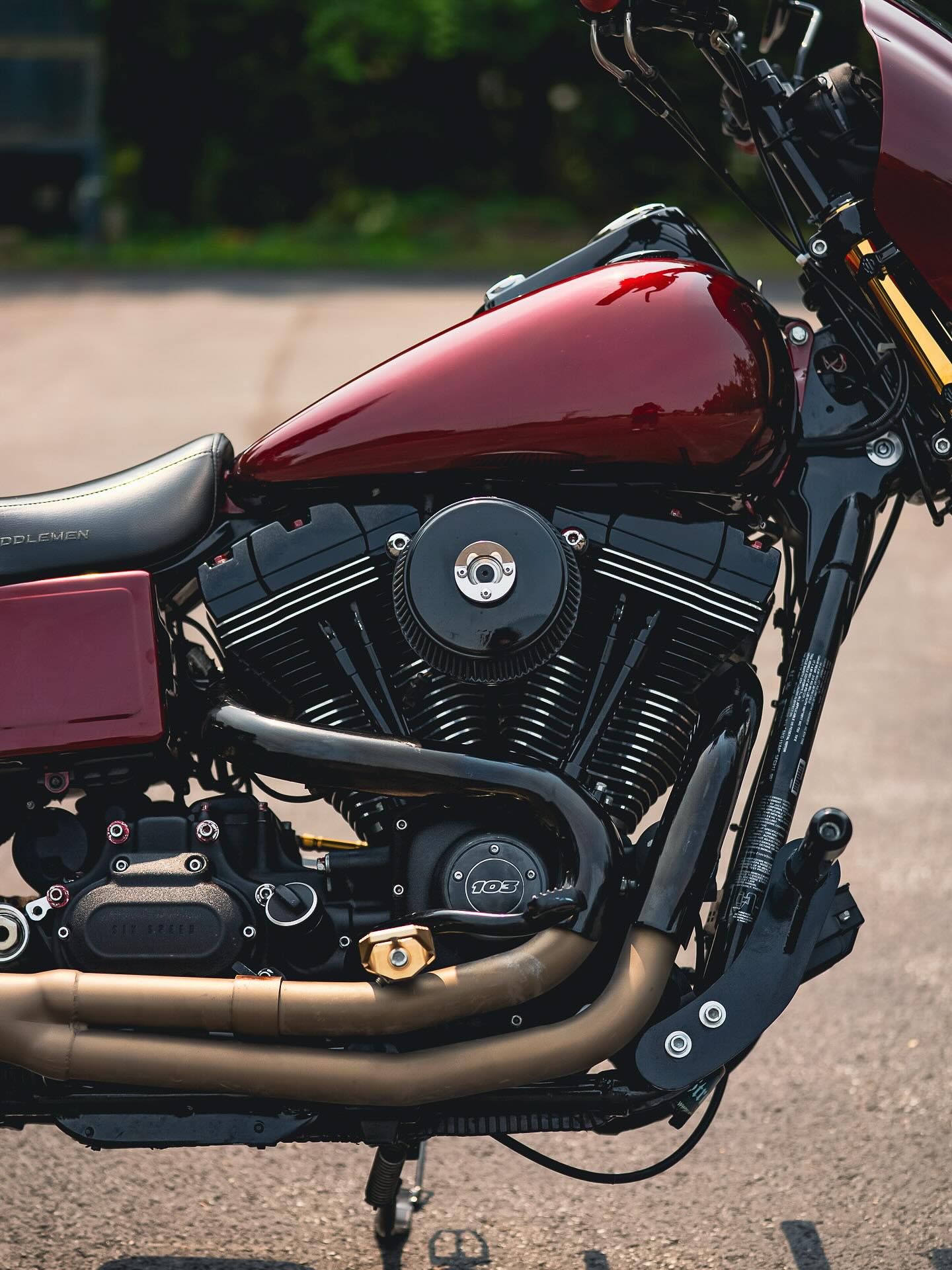 2015 FXDB