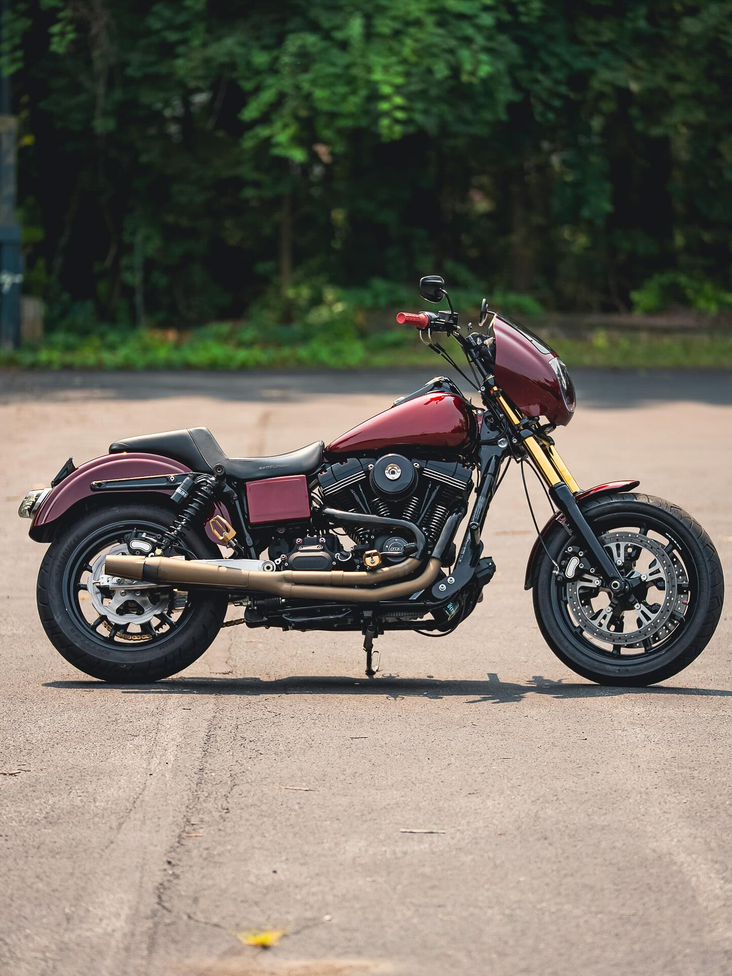 2015 FXDB