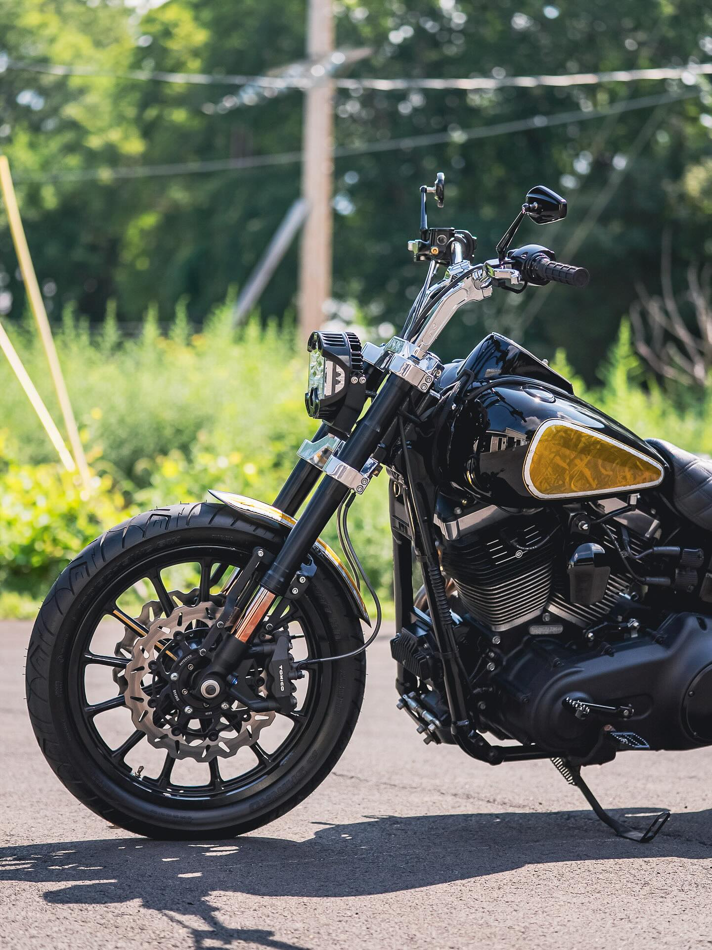2016 FXDB
