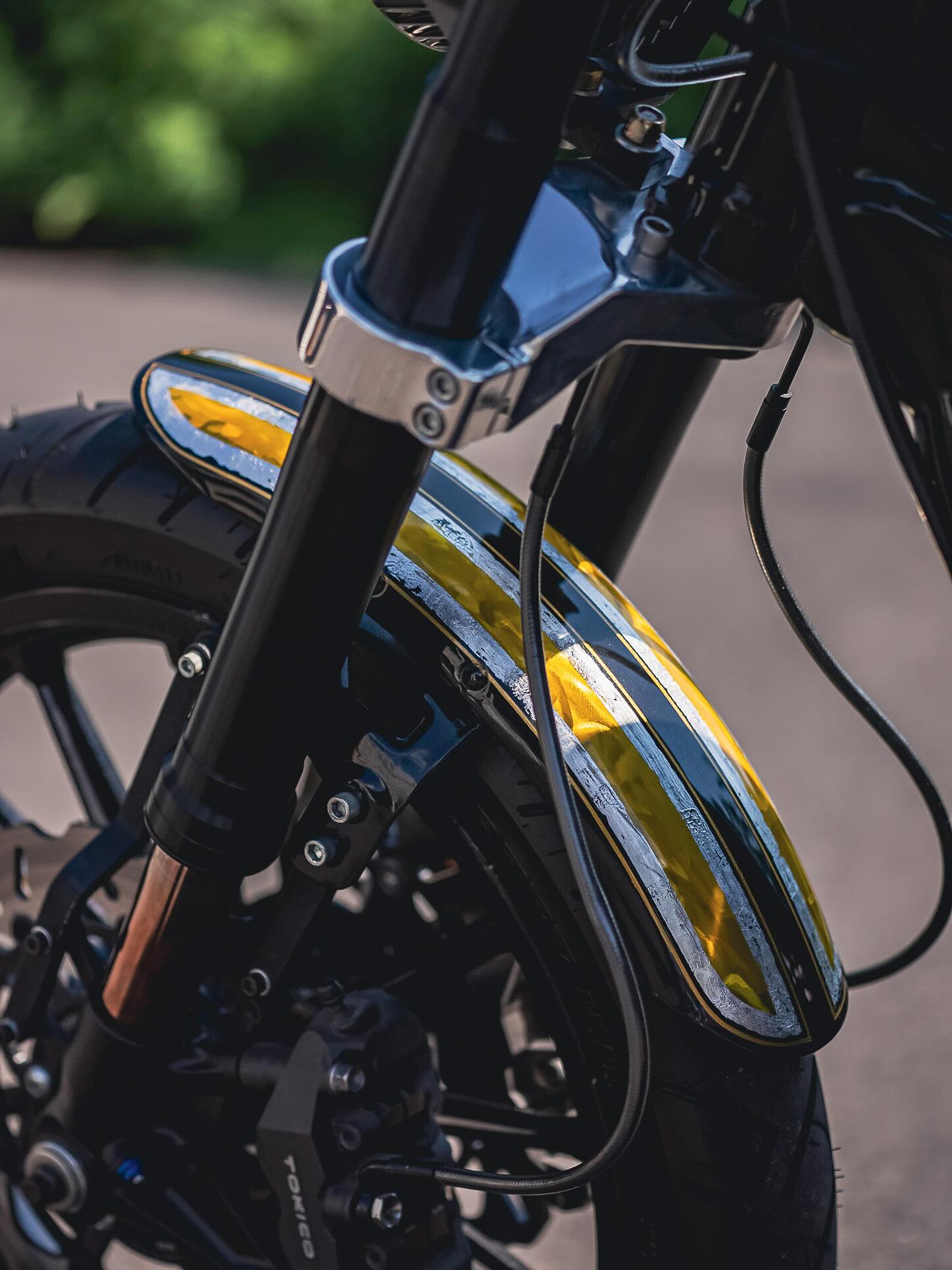 2016 FXDB