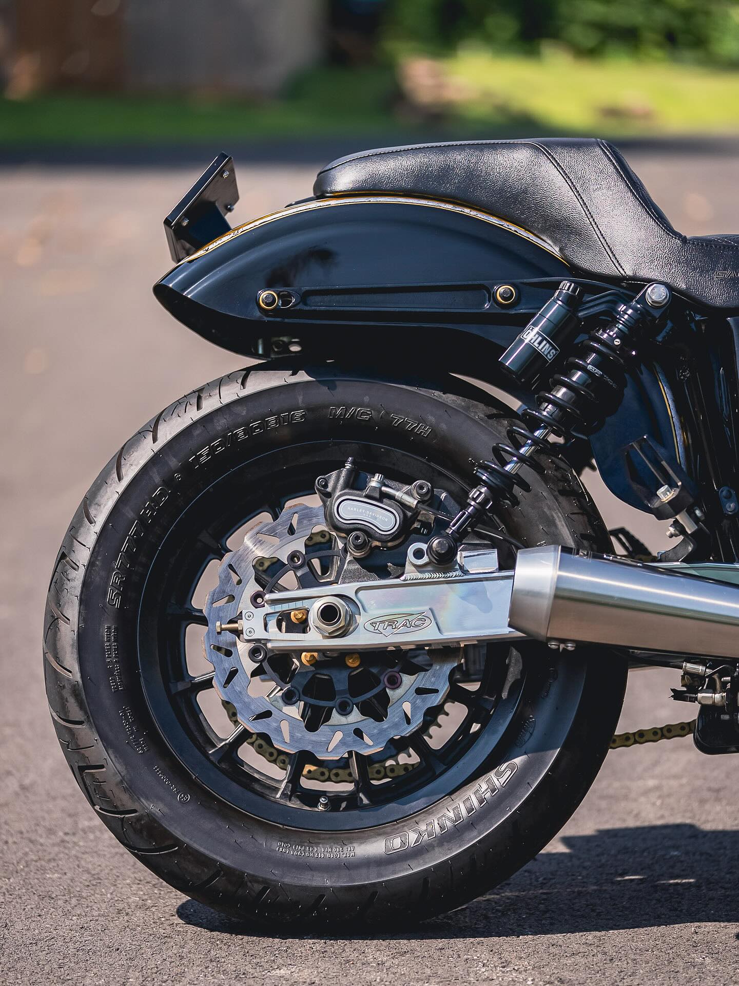 2016 FXDB