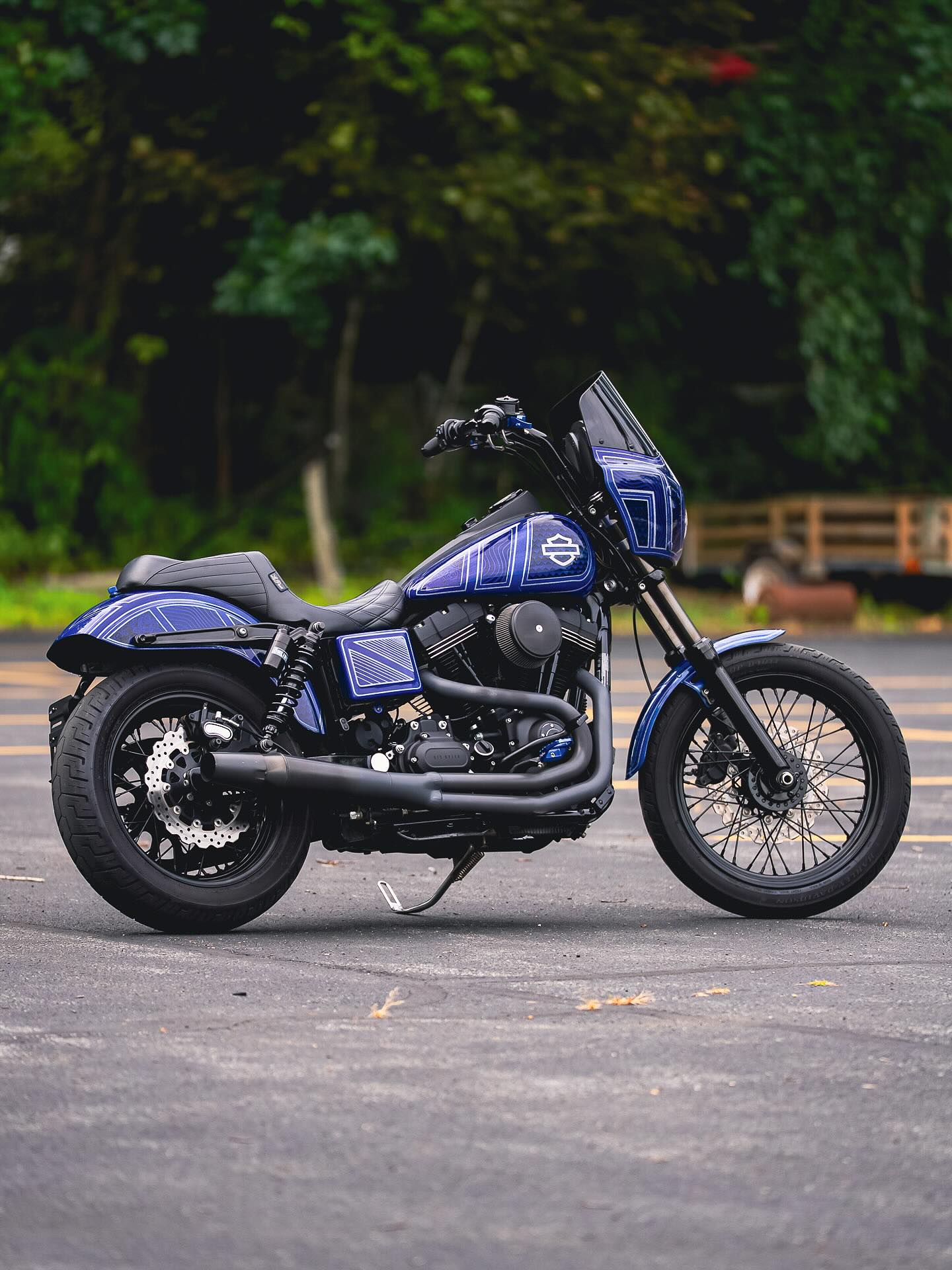2016 FXDB