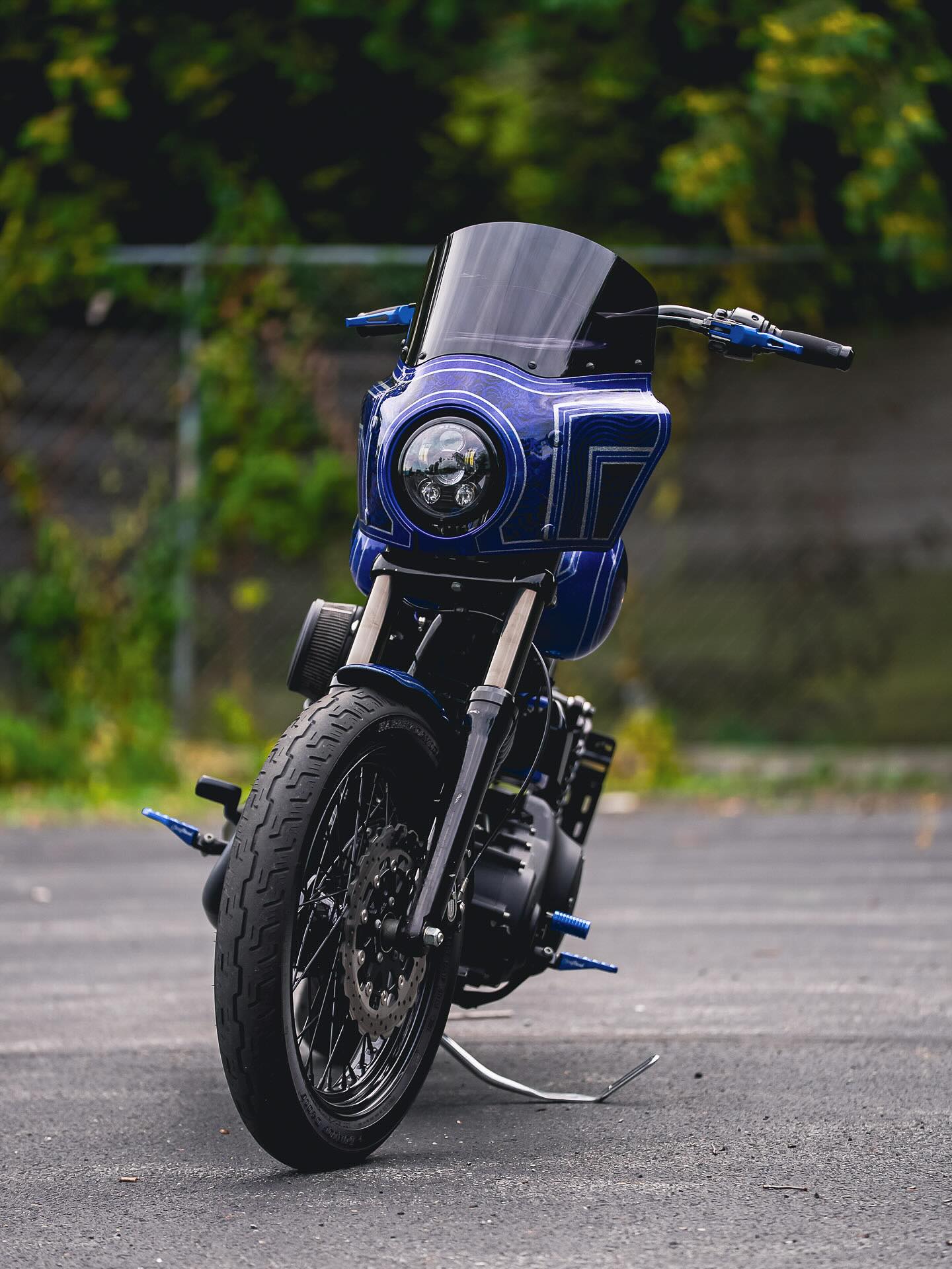 2016 FXDB
