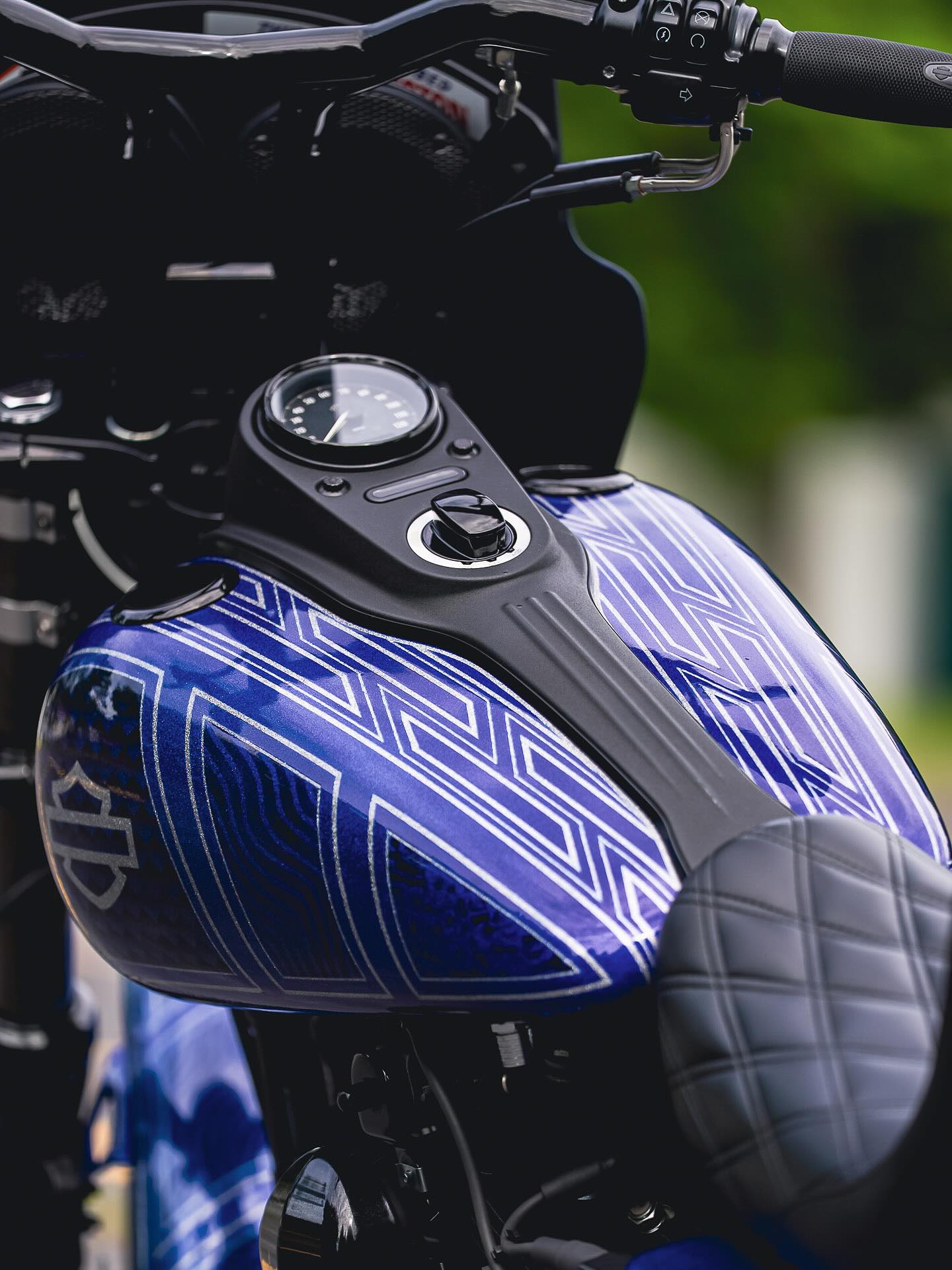 2016 FXDB