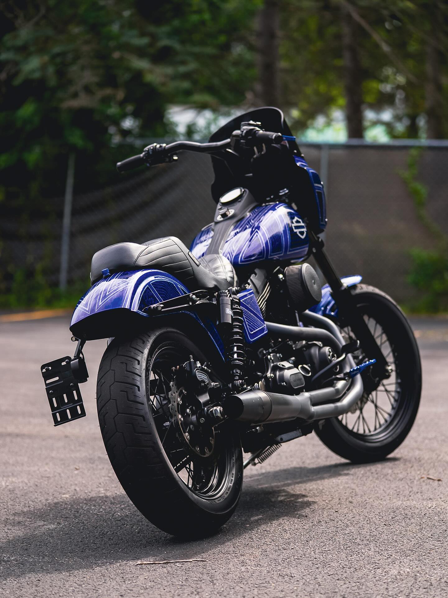 2016 FXDB