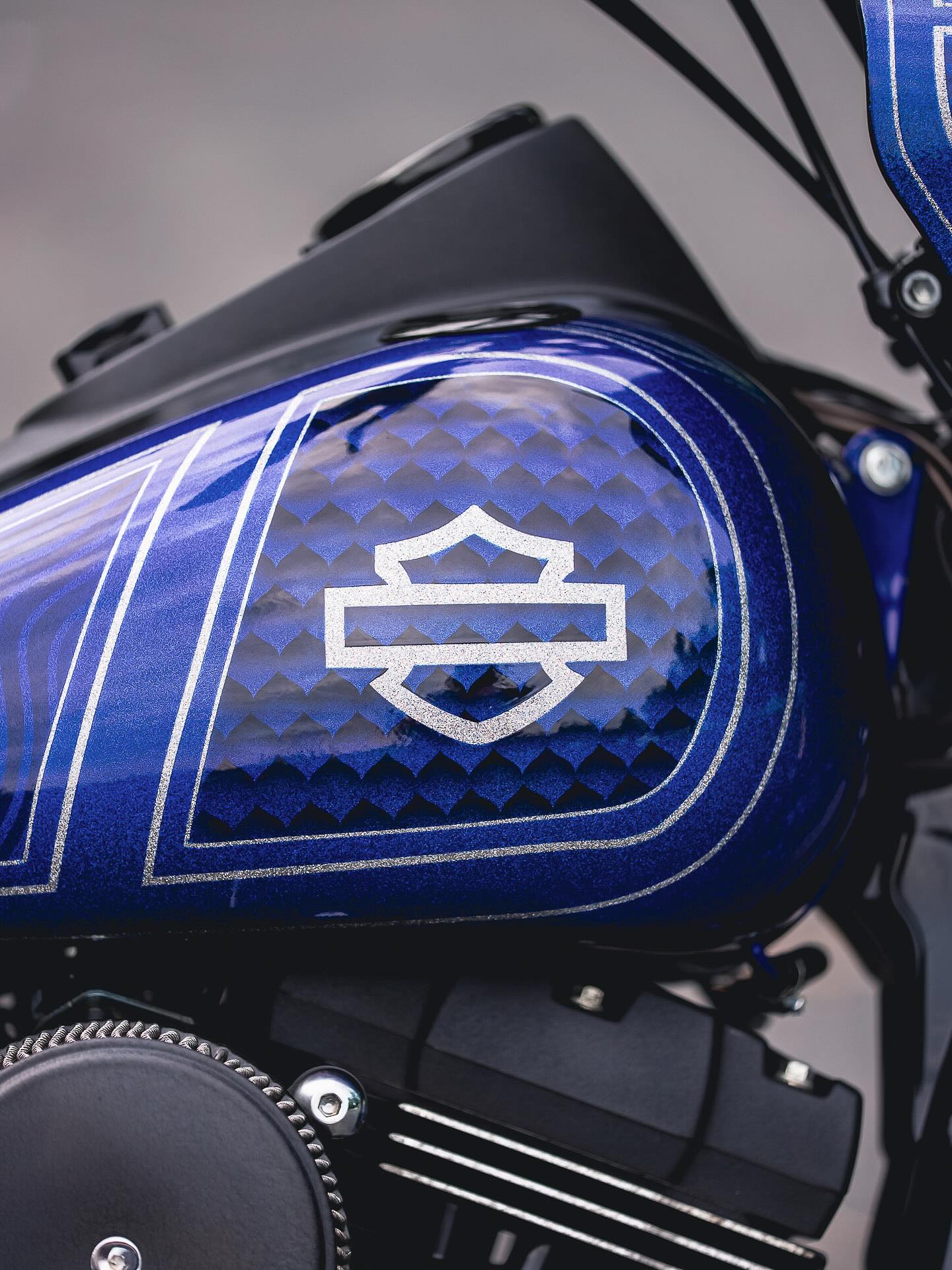 2016 FXDB