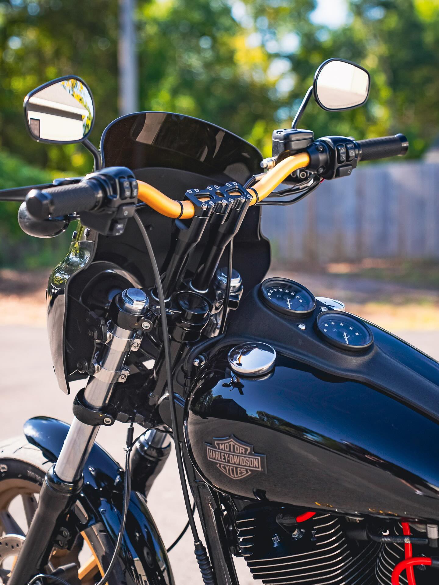 2017 FXDLS