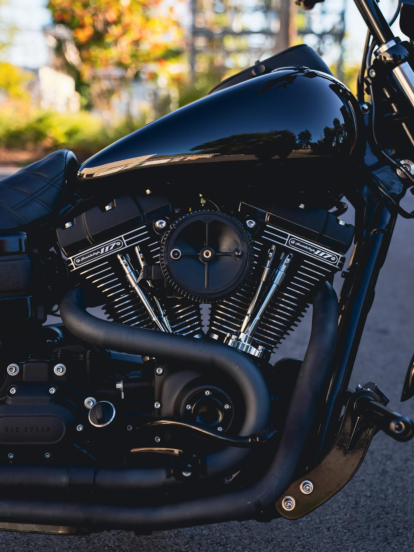 2017 FXDLS 117"