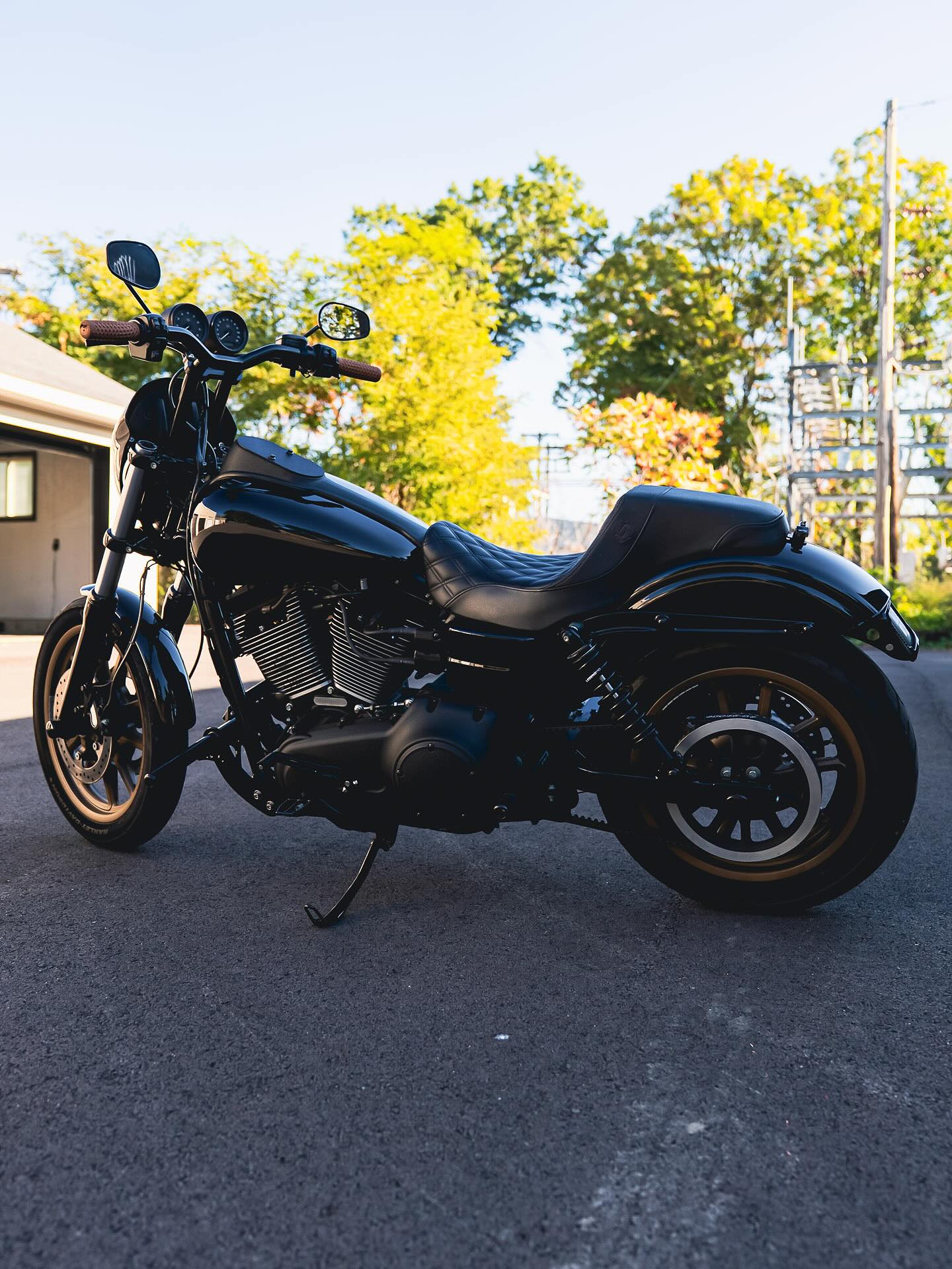 2017 FXDLS 117"