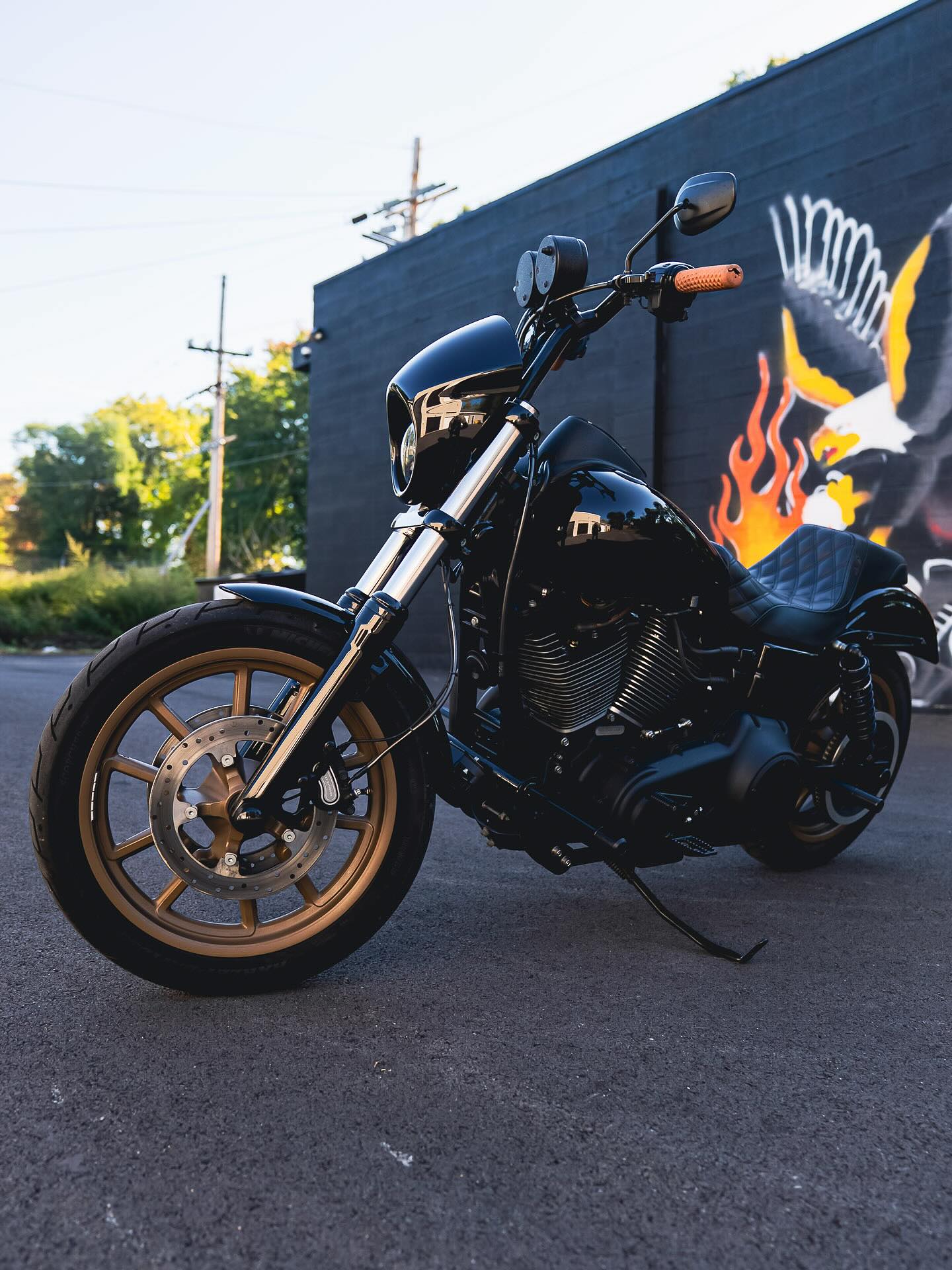 2017 FXDLS 117"