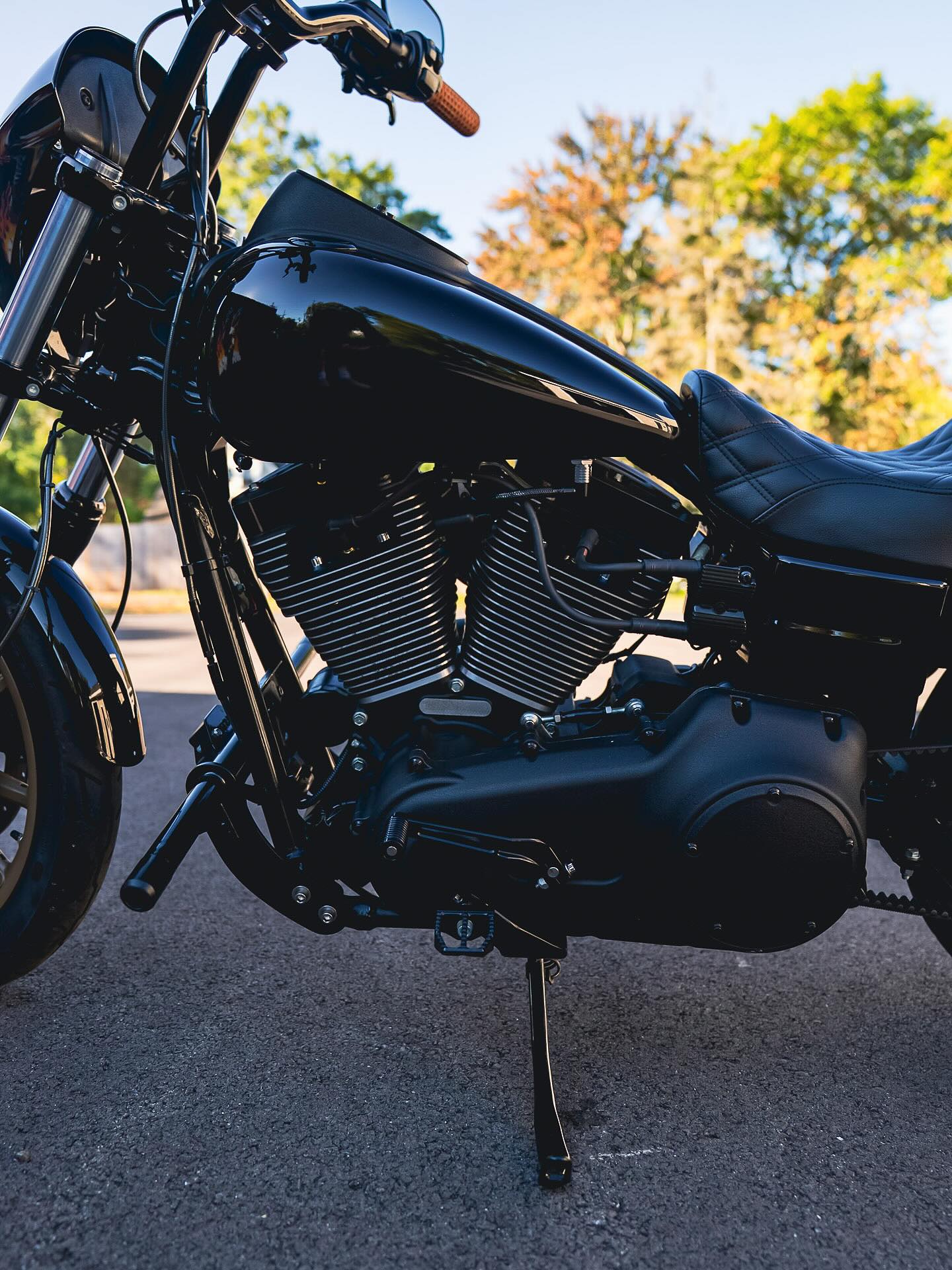 2017 FXDLS 117"