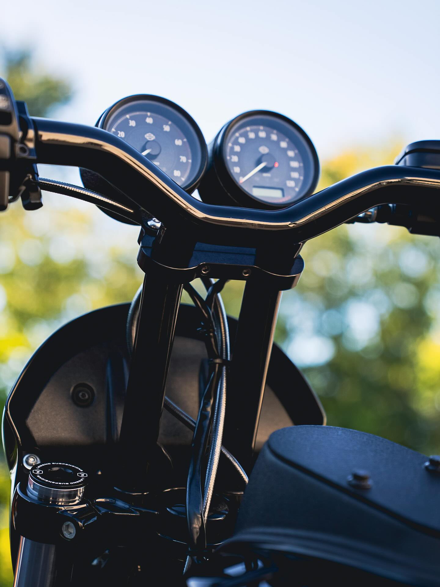 2017 FXDLS 117"
