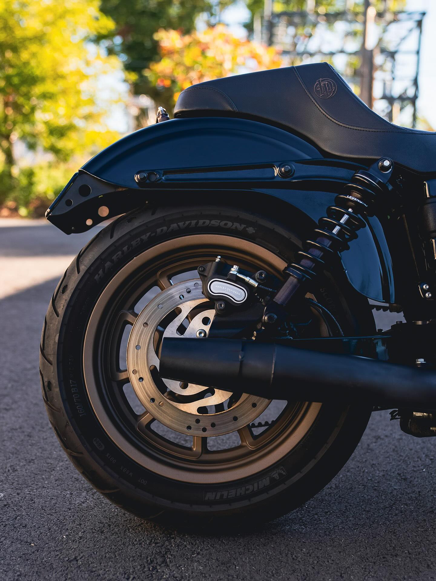 2017 FXDLS 117"