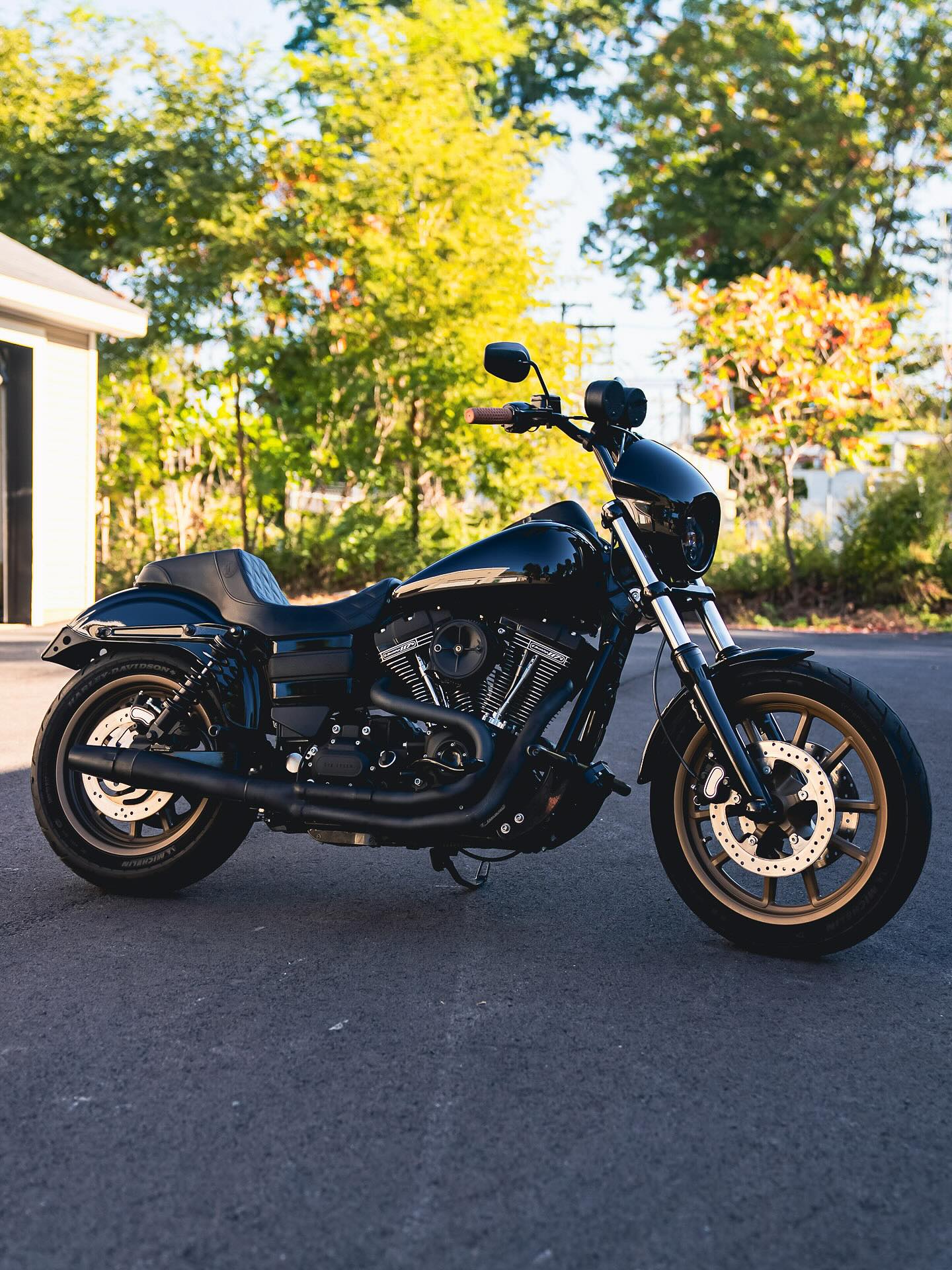 2017 FXDLS 117"
