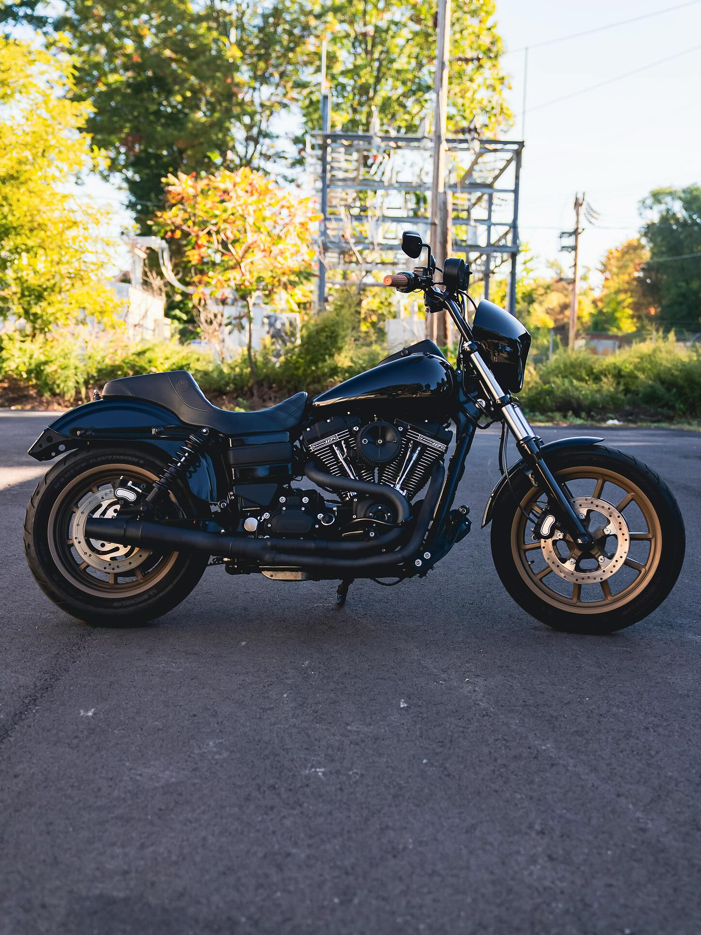 2017 FXDLS 117"