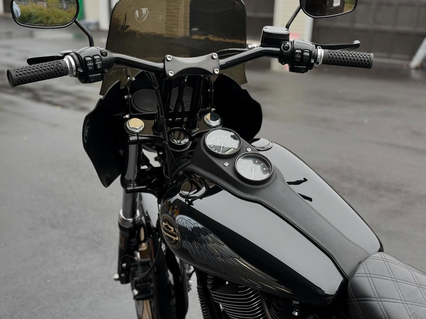 2016 FXDLS