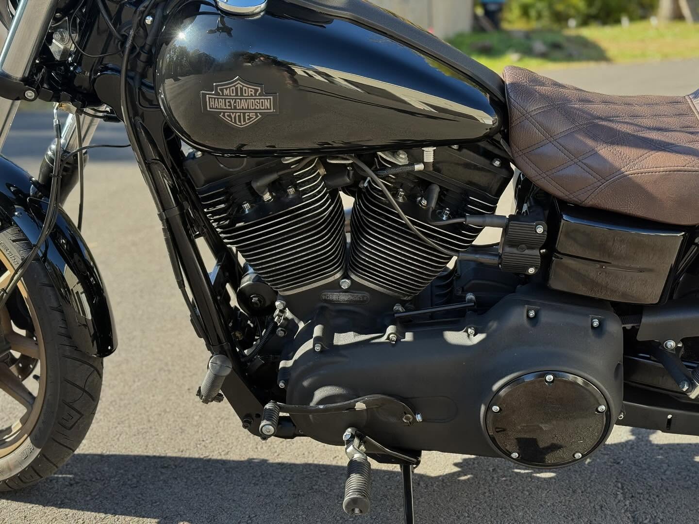 2017 FXDLS