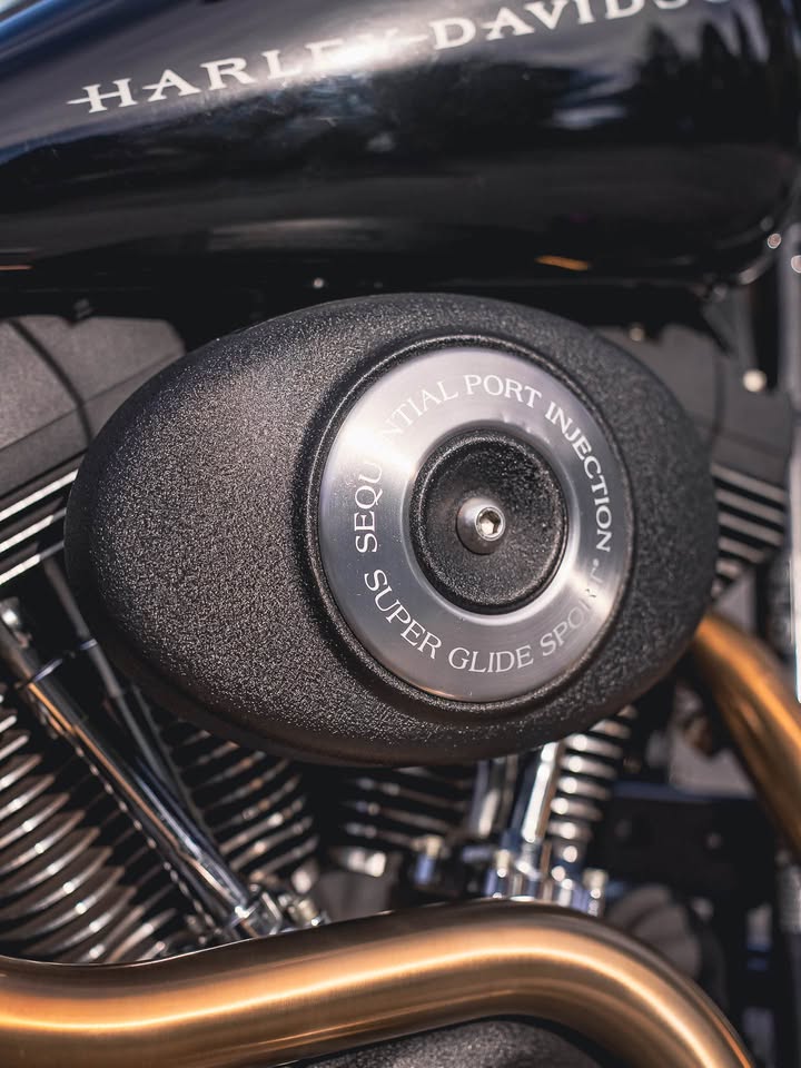 2005 FXDXi