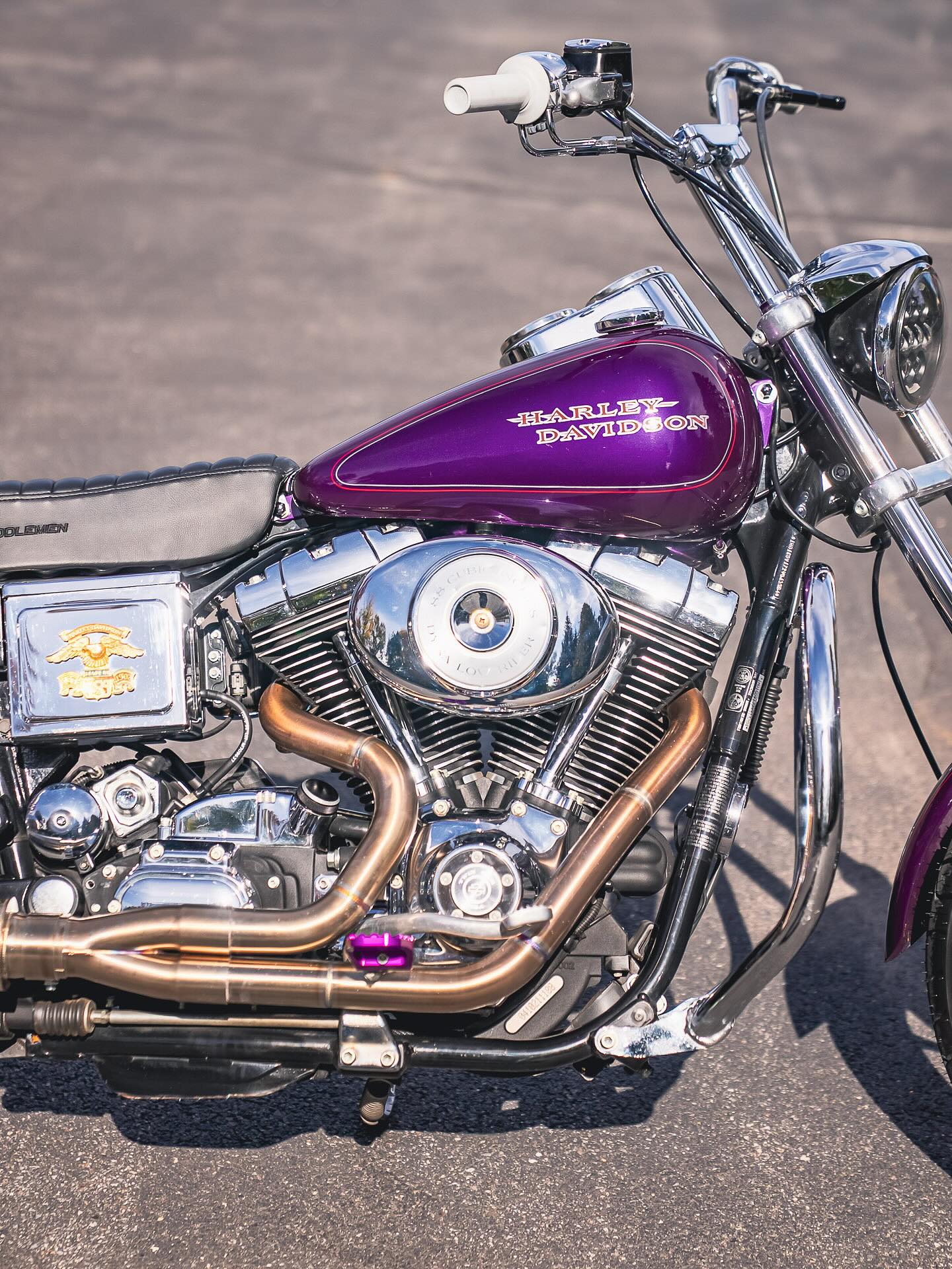 2002 FXDL