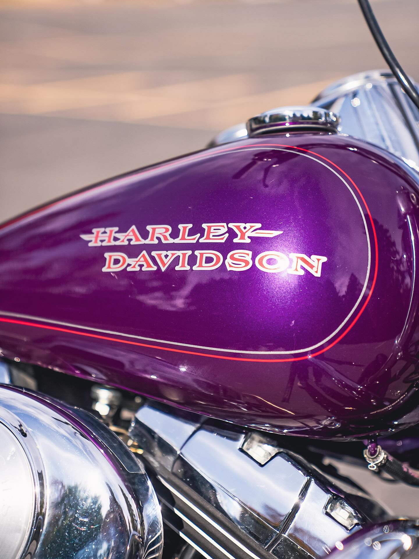 2002 FXDL