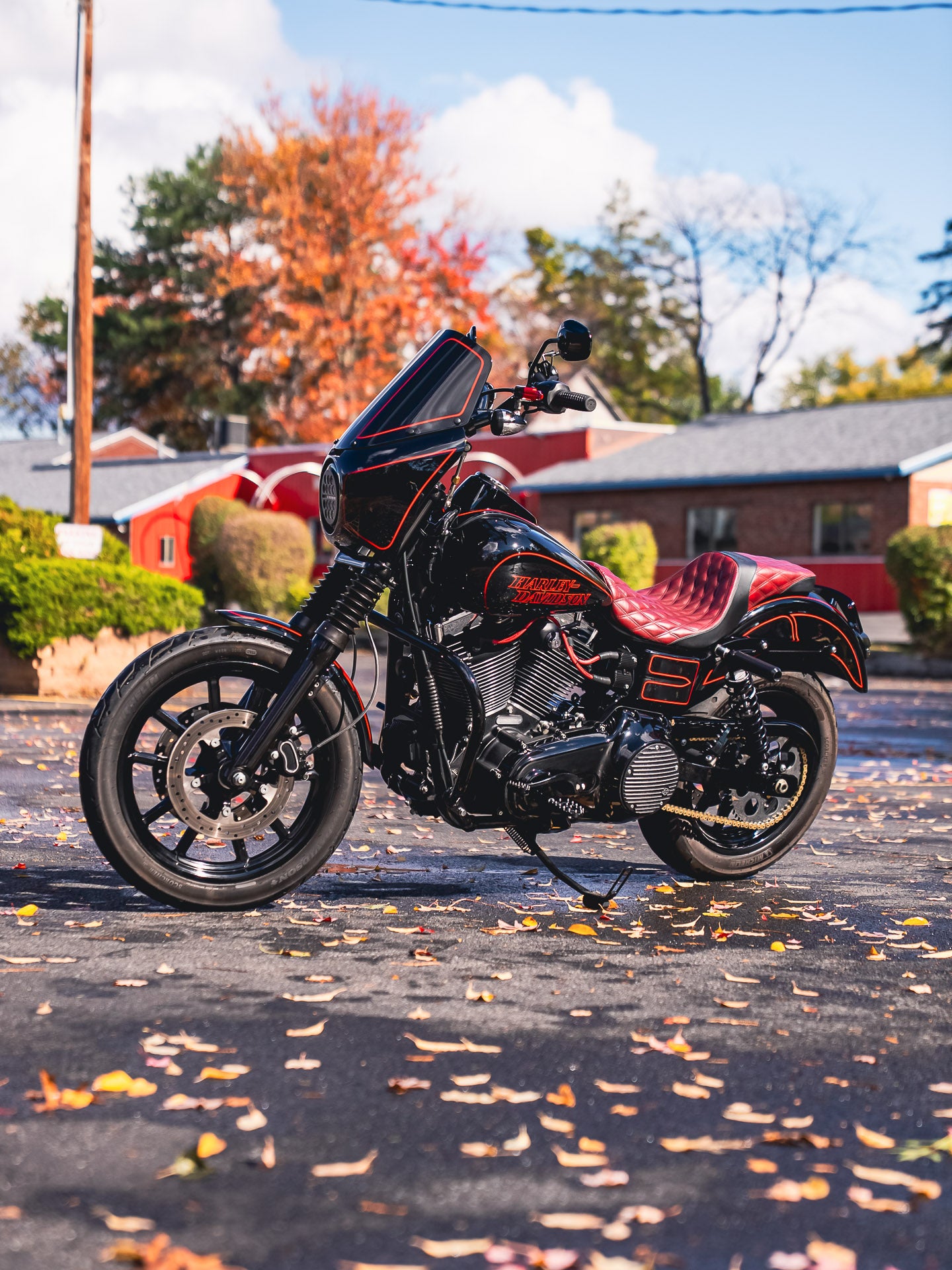 2016 FXDL