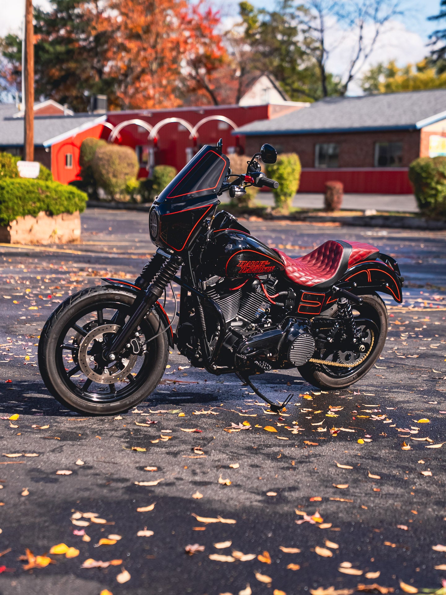 2016 FXDL