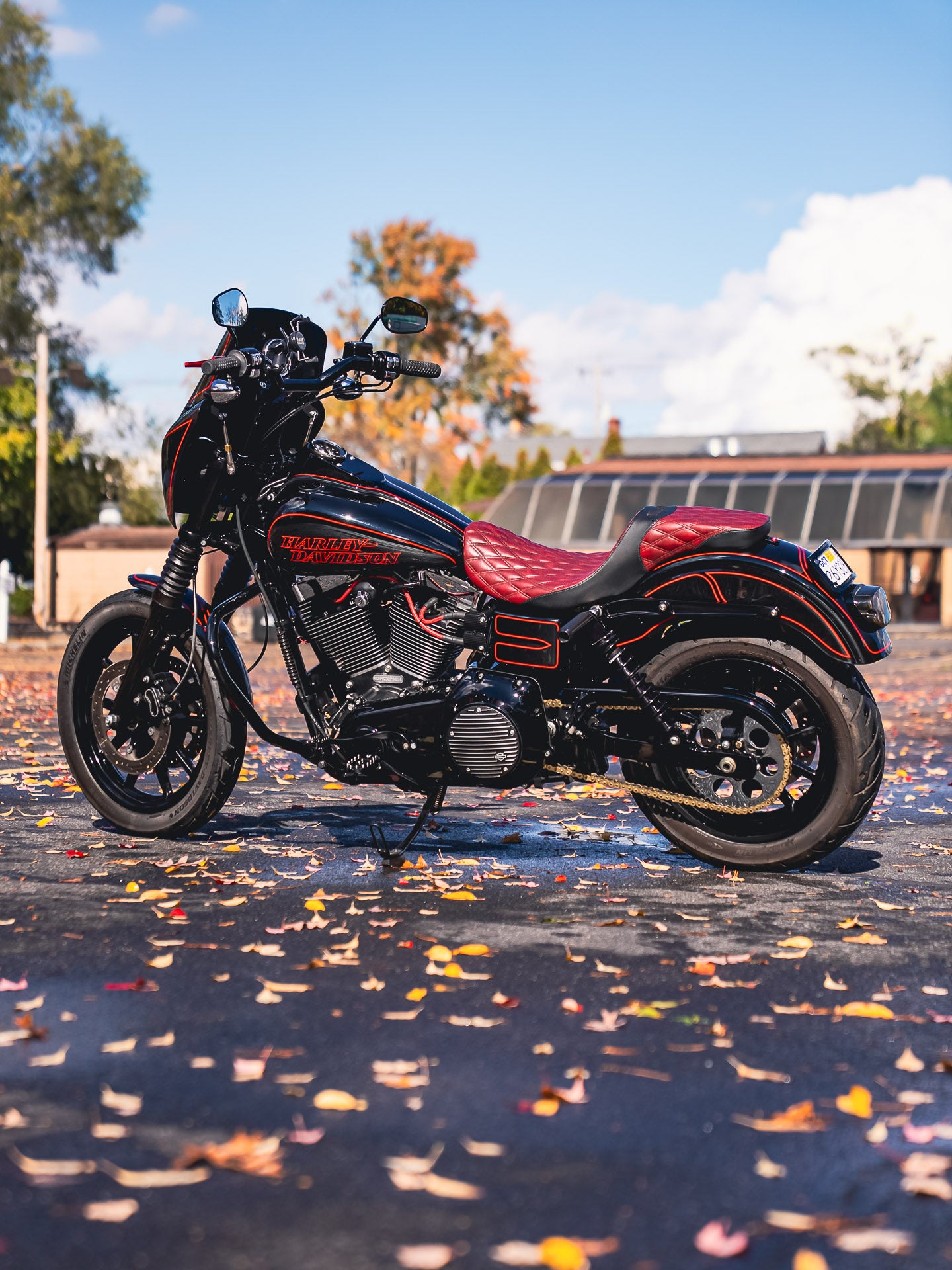 2016 FXDL
