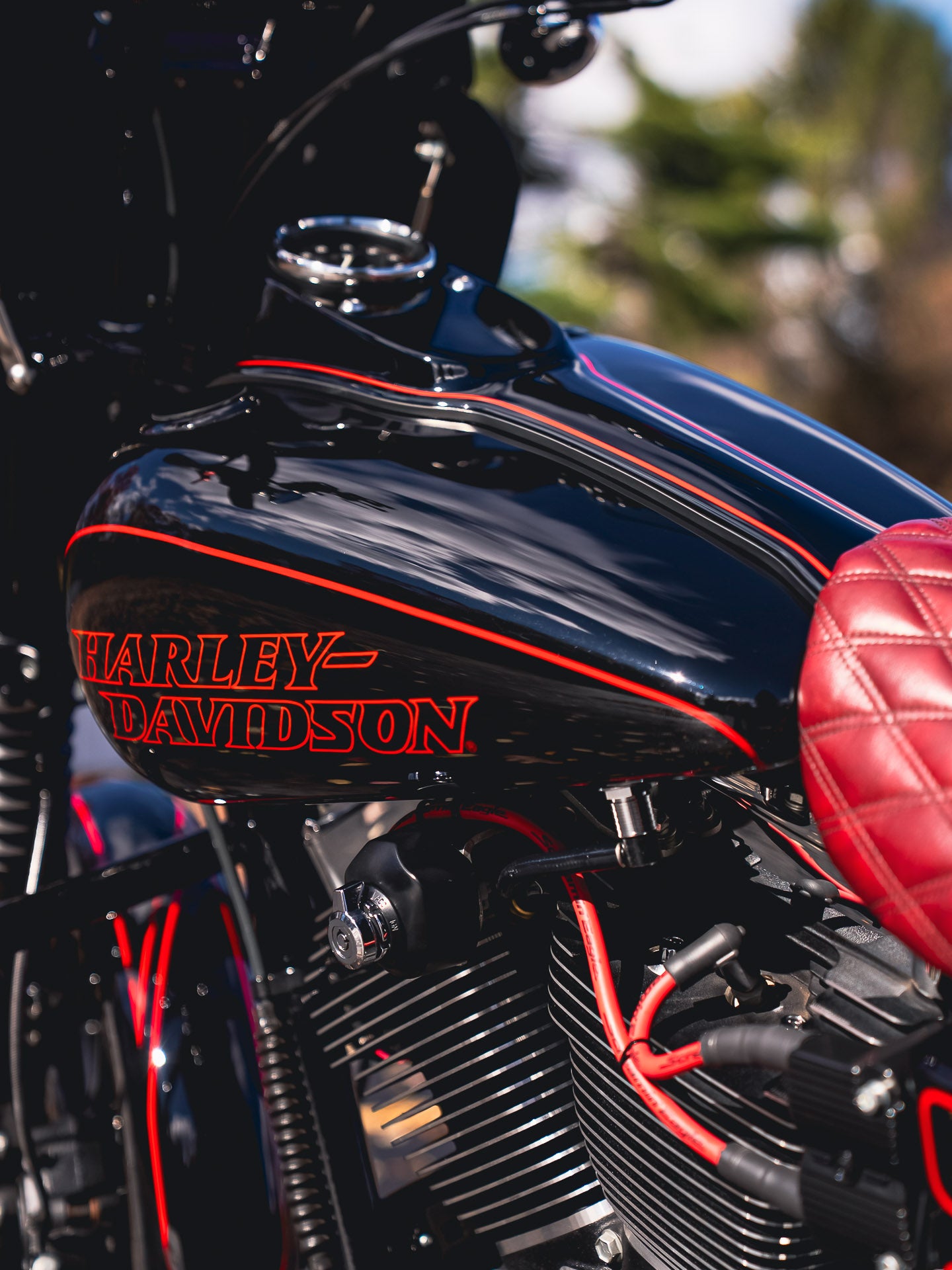 2016 FXDL