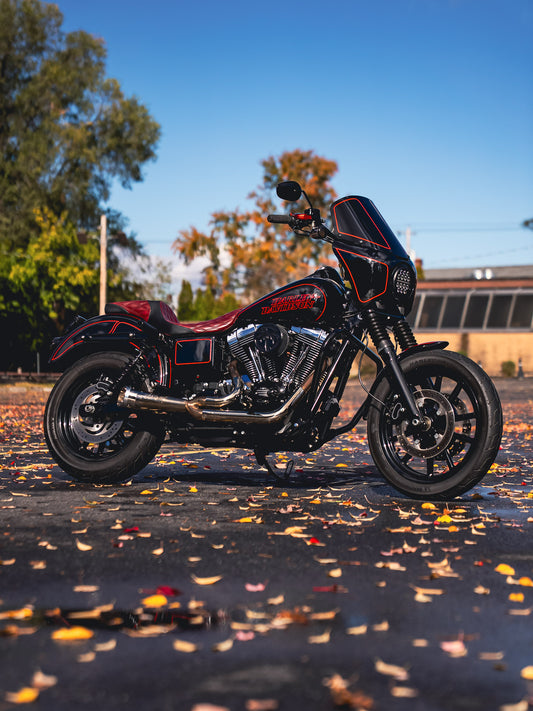 2016 FXDL