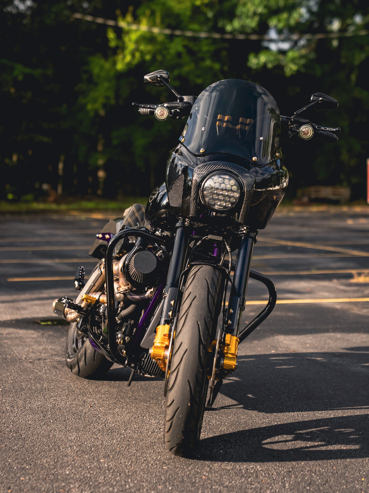 2020 CARBON FXLRS 190HP!