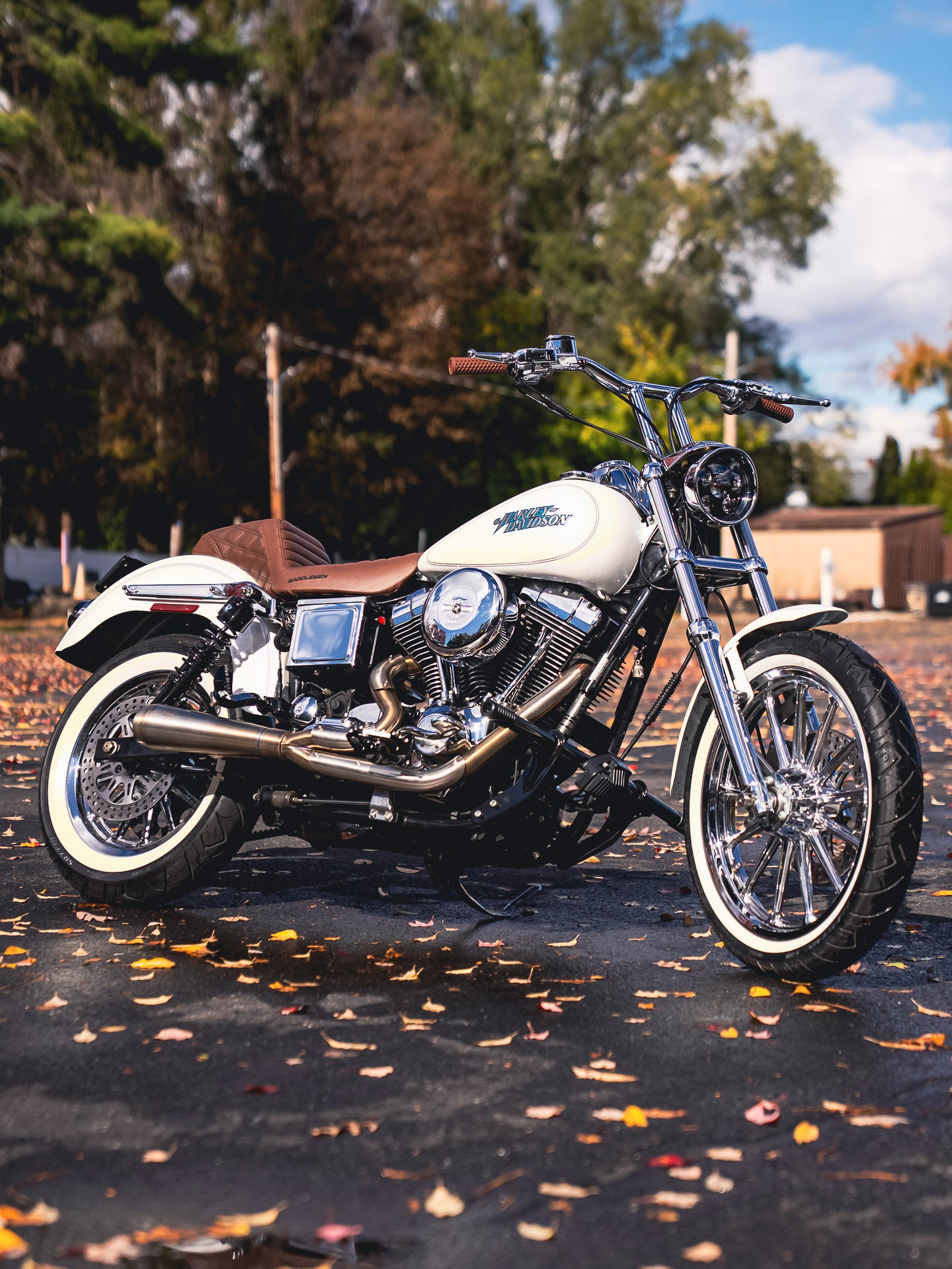 2004 FXDLi