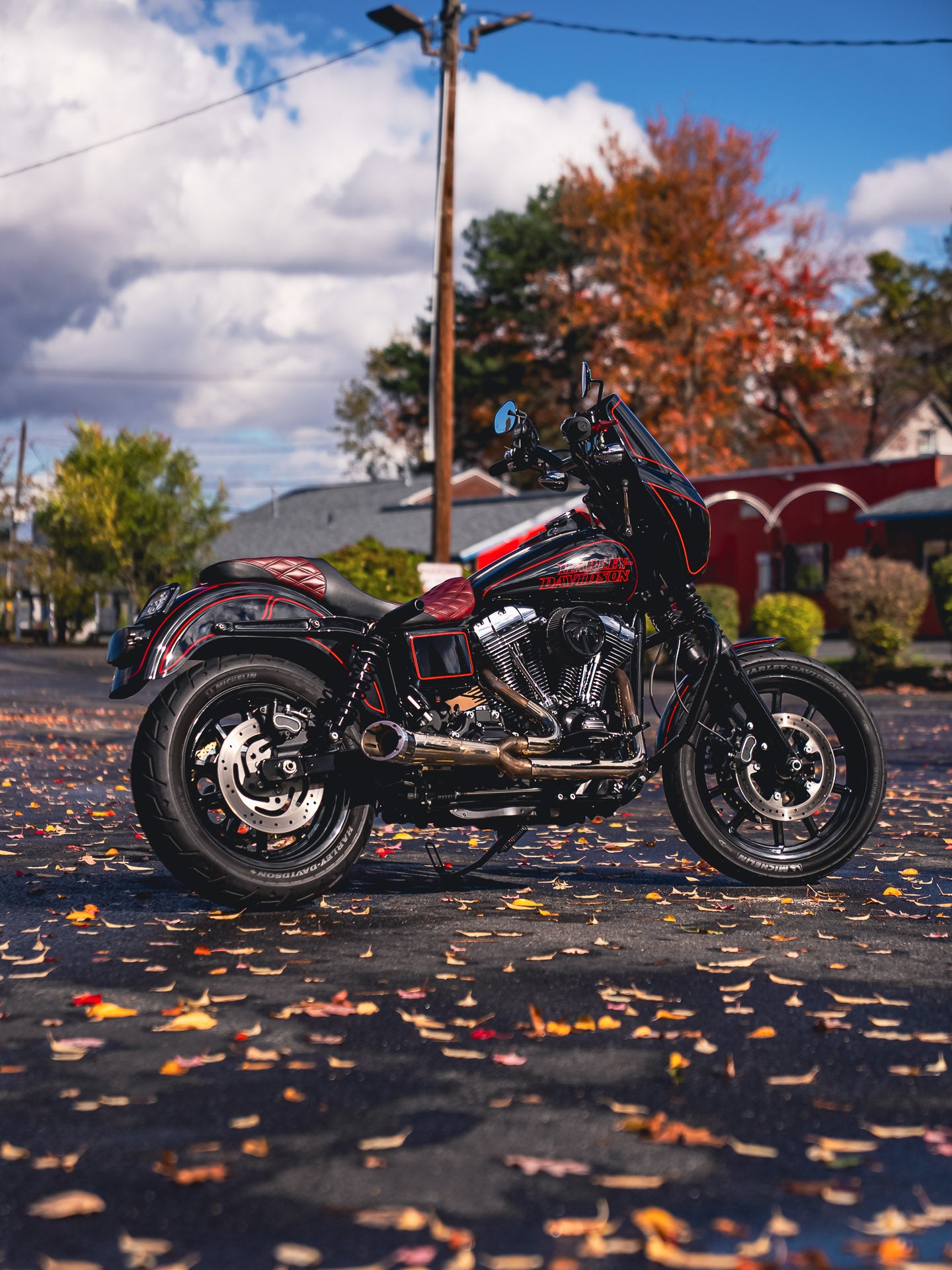 2016 FXDL