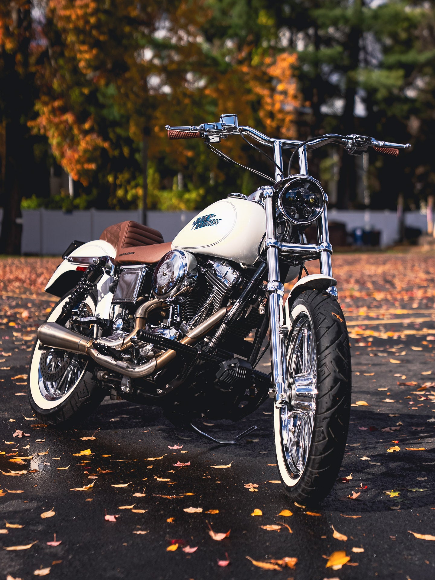 2004 FXDLi