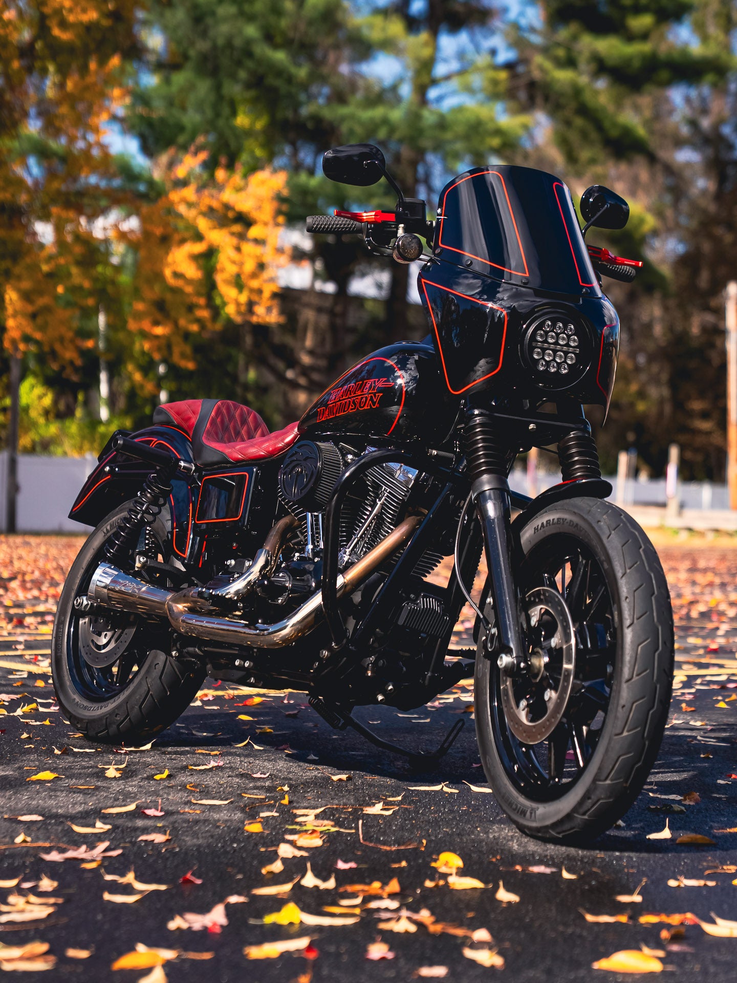 2016 FXDL