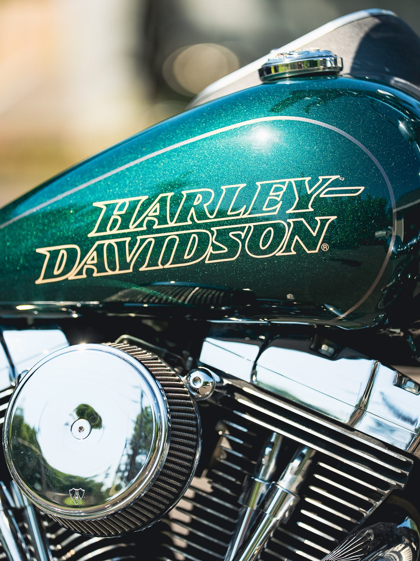 2015 FXDL