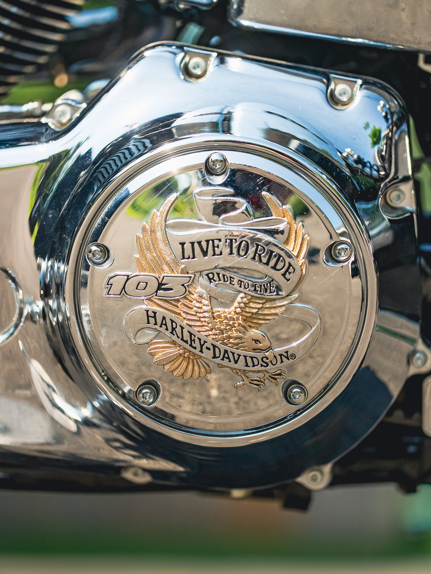 2015 FXDL