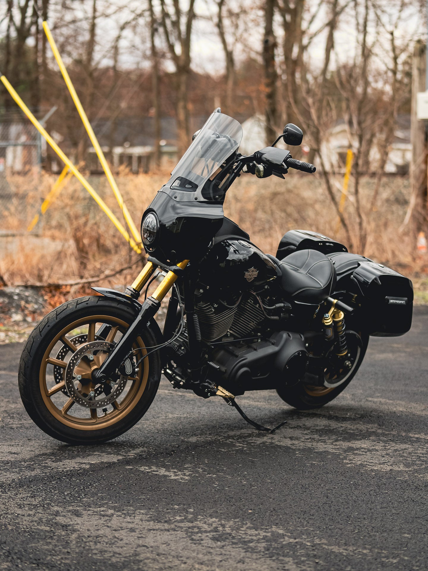 2016 FXDLS