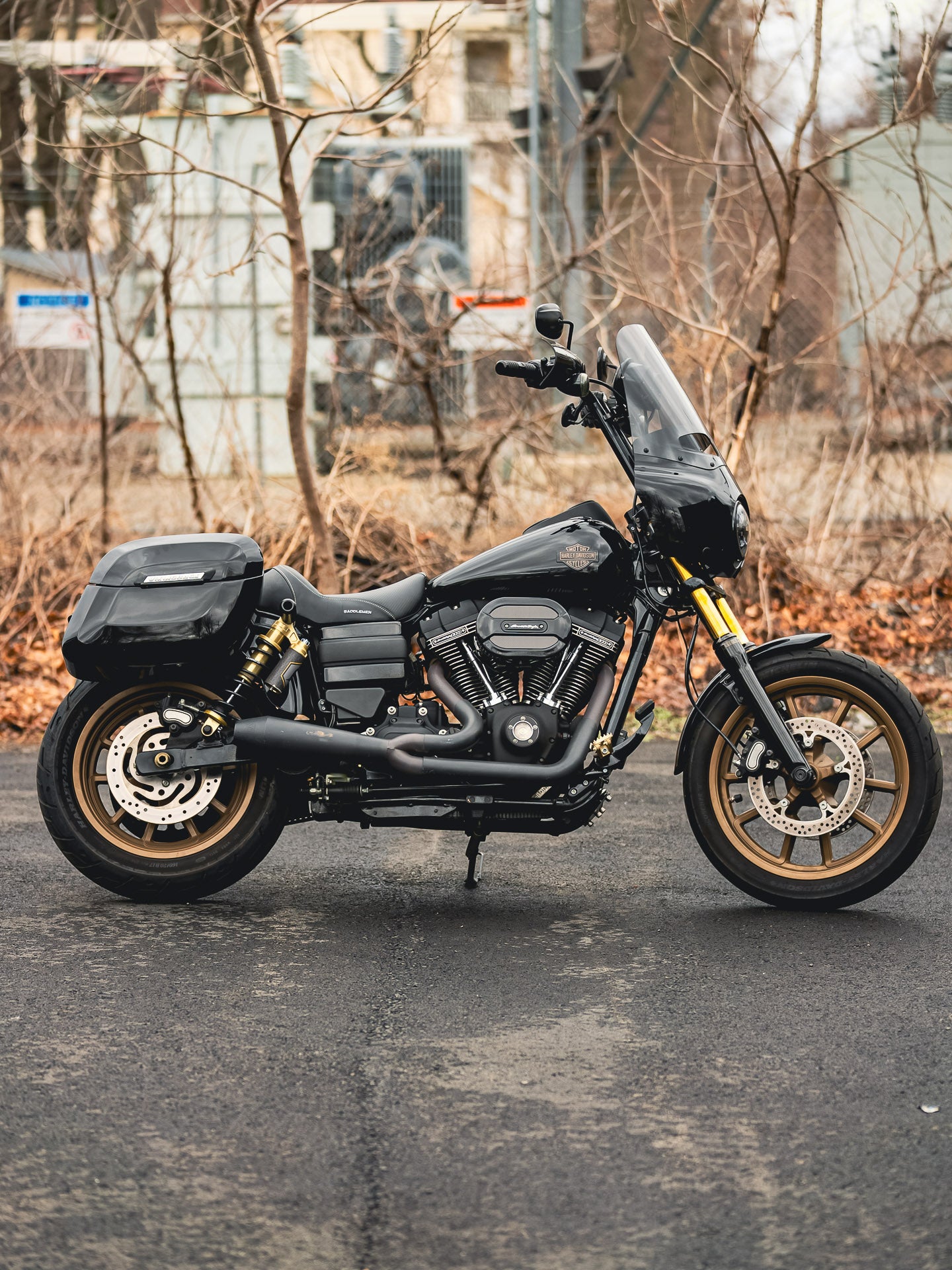 2016 FXDLS